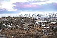 Review Image by Y. Wang Y. Wang