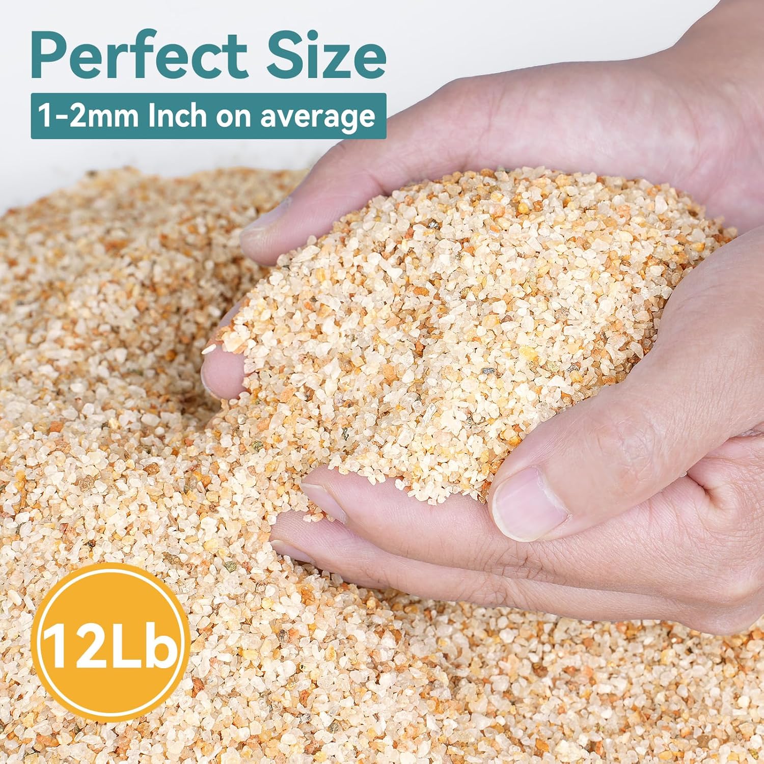 1-2mm Coarse Sand for Plants, 12lbs Horticultural Sand for Succulents, Desert Silica Sand for Cactus, Vases, Aquariums, Terrarium, Fish Tank, Drainage Rocks for Potted Plants, Bamboo, Crafts