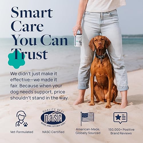 Miniatura 6 de Veterinary Formula Soporte de glándula anal para perros  Masticables sin Scoot formulados por veterinarios con calabaza, jengibre, inulina de agave