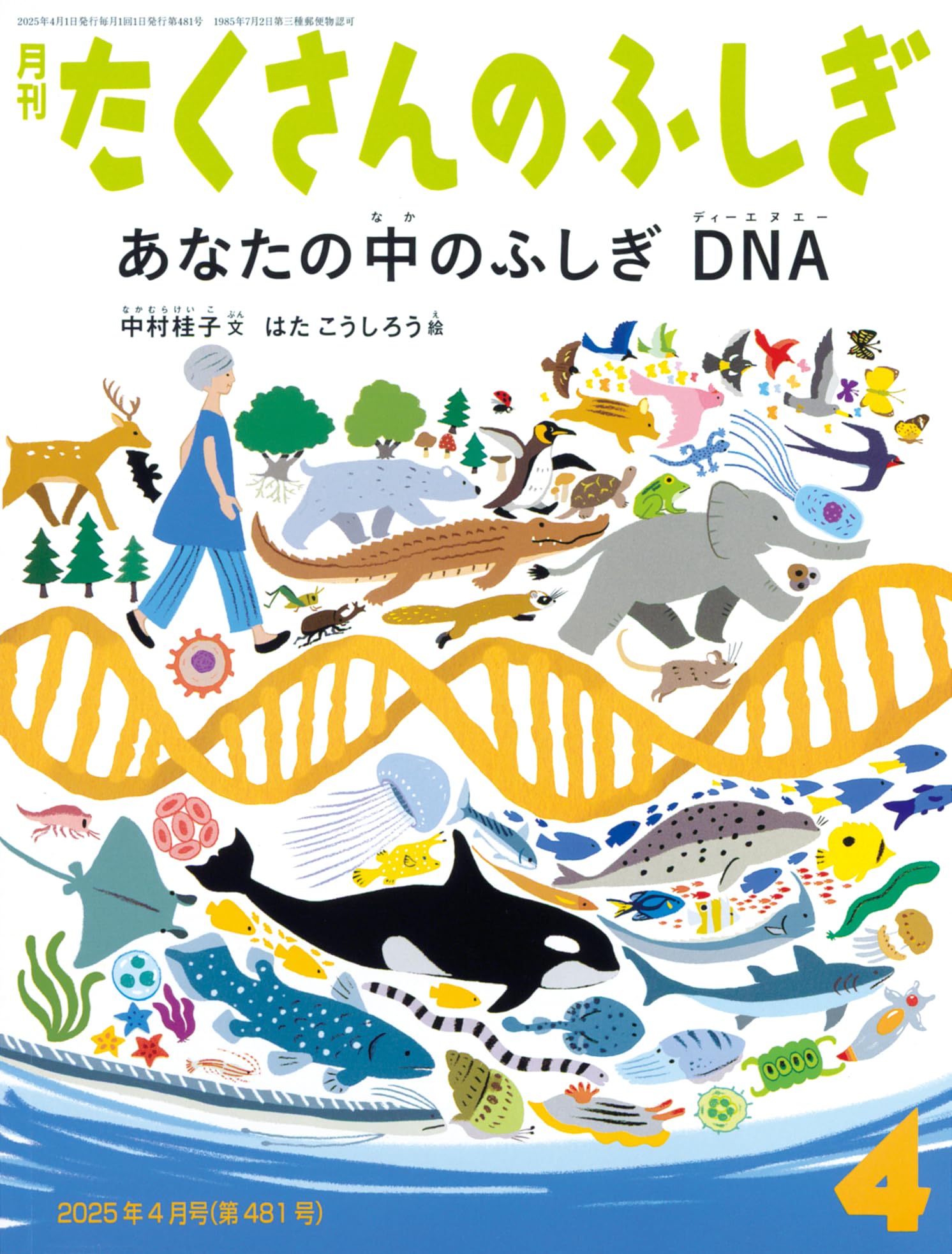 自然のふしぎシリーズ 全12冊 あなたの中のふしぎ DNA (たくさんのふしぎ2025年4月号) | 中村 桂子