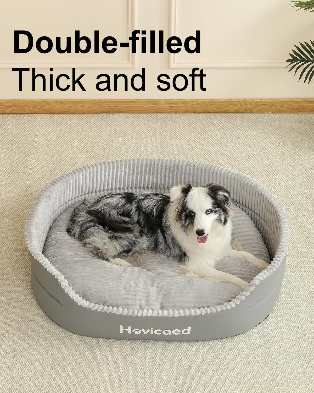 Ultimate Comfort: Hovicaed Waterproof Dog Beds for Small Dogs Review