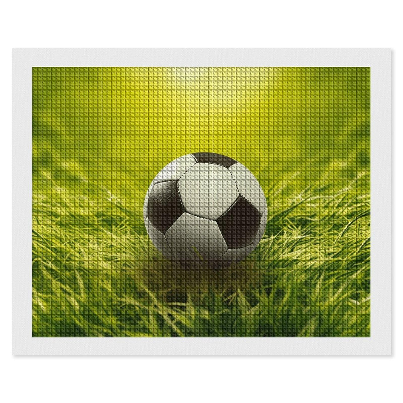 NONHAI Diamond Painting Kits for Adults - DIY Diamond Art Kits for Beginners - Full 5D Paint Drill Diamond Dots Paintings- Football on Grass Diamonds Pictures Gem Art and Craft Wall Decor 16"x20"