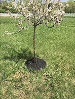 Rocky Mountain Goods 24-Inch Recycled Rubber Tree Mulch Rings (4-Pack) - Mower-Safe Weed Barrier, Easy No-Staple Install, Natural Look