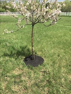 Rocky Mountain Goods 24-Inch Recycled Rubber Tree Mulch Rings (4-Pack) - Mower-Safe Weed Barrier, Easy No-Staple Install, Natural Look