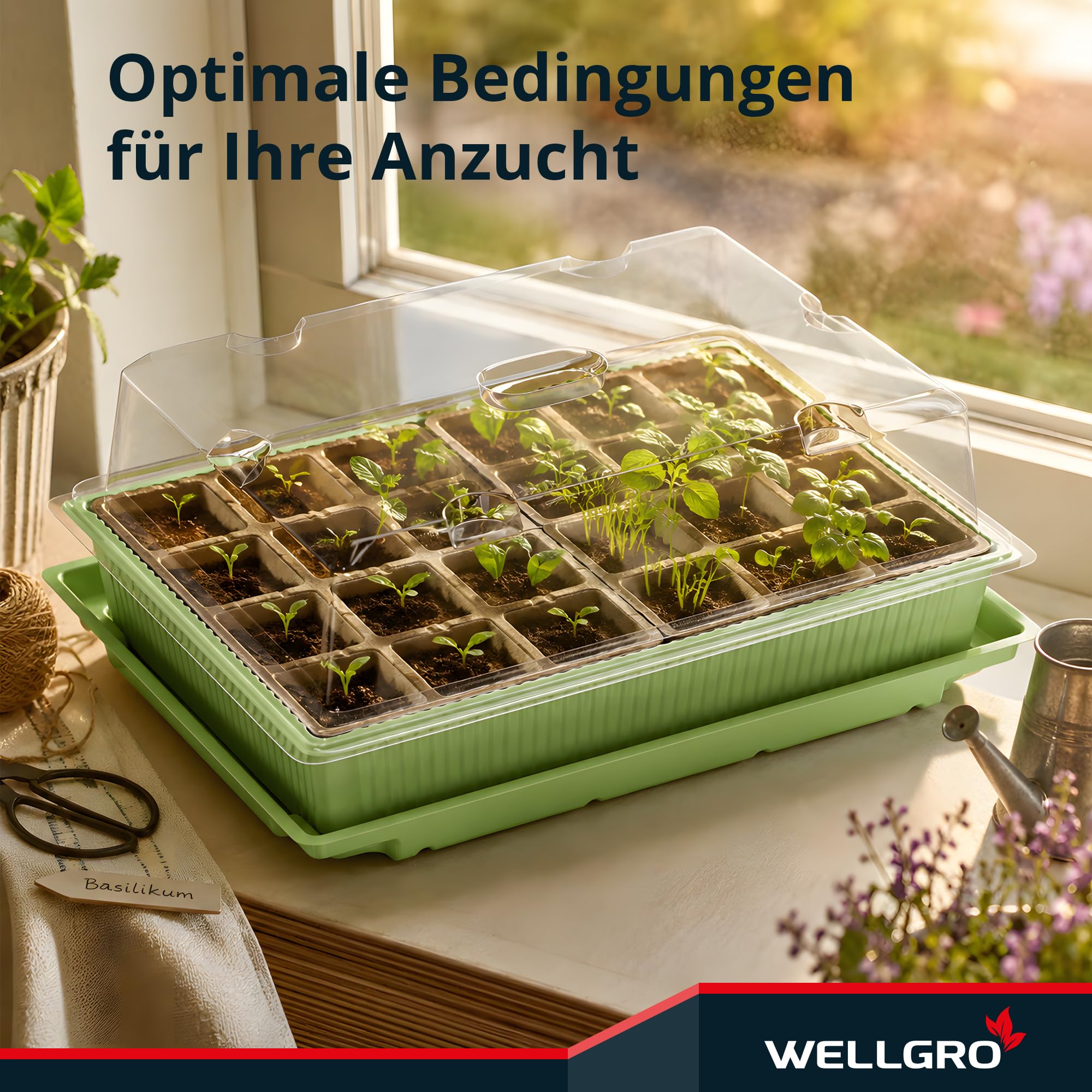 WELLGRO Mini szklarnia na 24 rośliny, ok. 27 x 19 x 10 cm (dł. x szer. x wys.), zielona/przezroczysta, tworzywo sztuczne/celuloza, ilość do wyboru, liczba sztuk: 2 sztuki