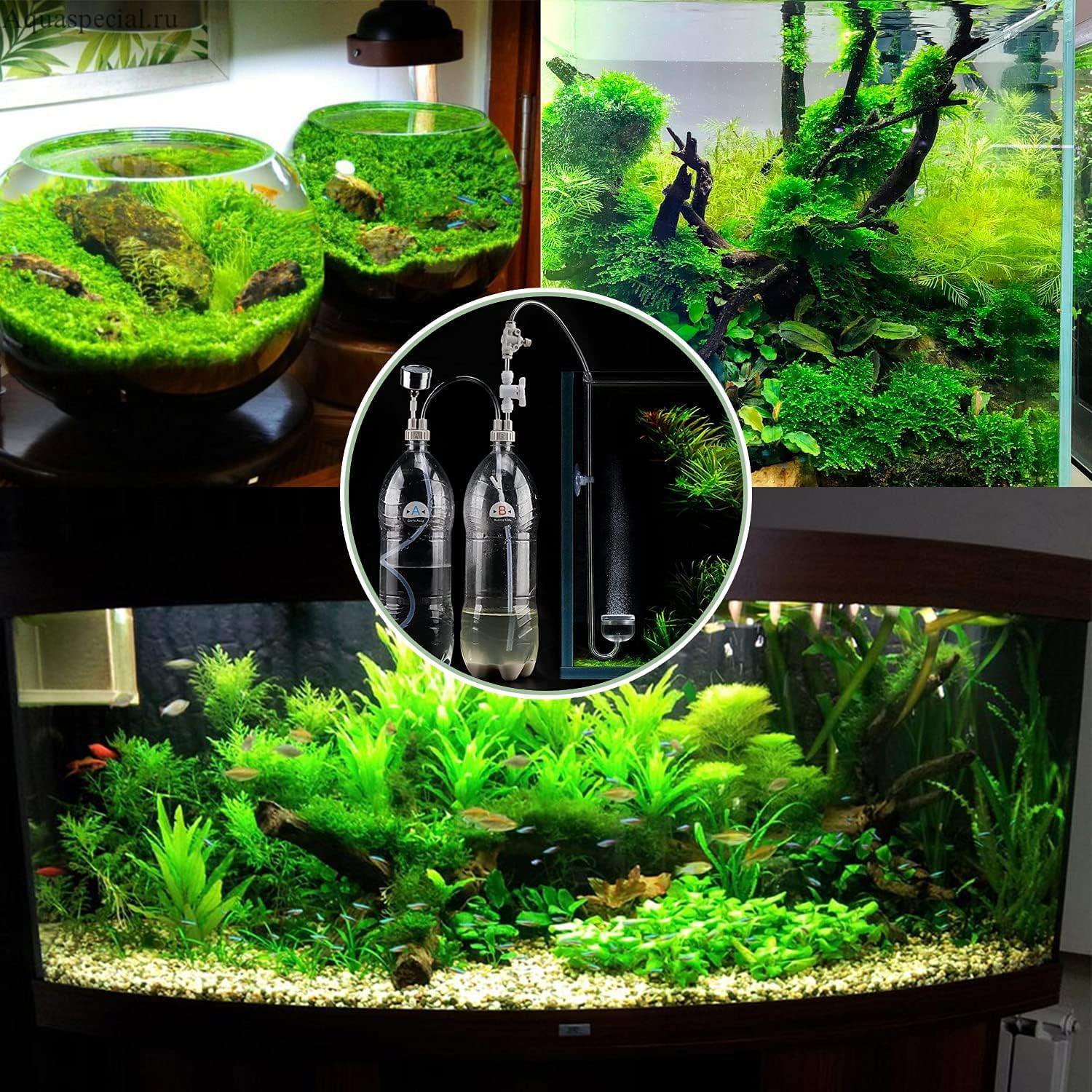 Kit de système de CO2 pour Aquarium, Bricolage, réservoir planté, système de CO2, Tube Pro, jauge de Valve, Kit de Bouchon de Bouteille
