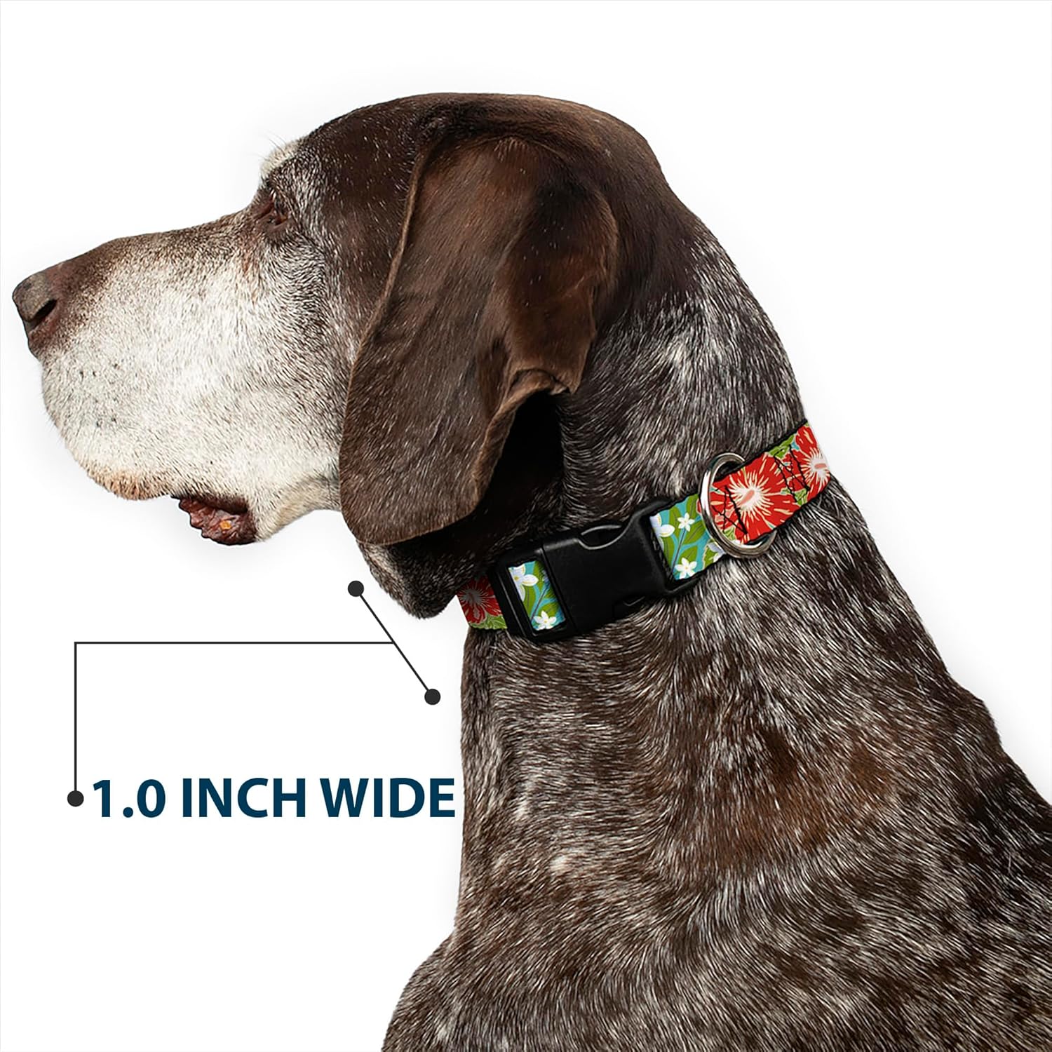 Buckle-Down Plastic Clip Collar - Hibiscus & Plumerias Turquoise/Green/Red/White - 1.5" Wide - Fits 13-18" Neck - Small
