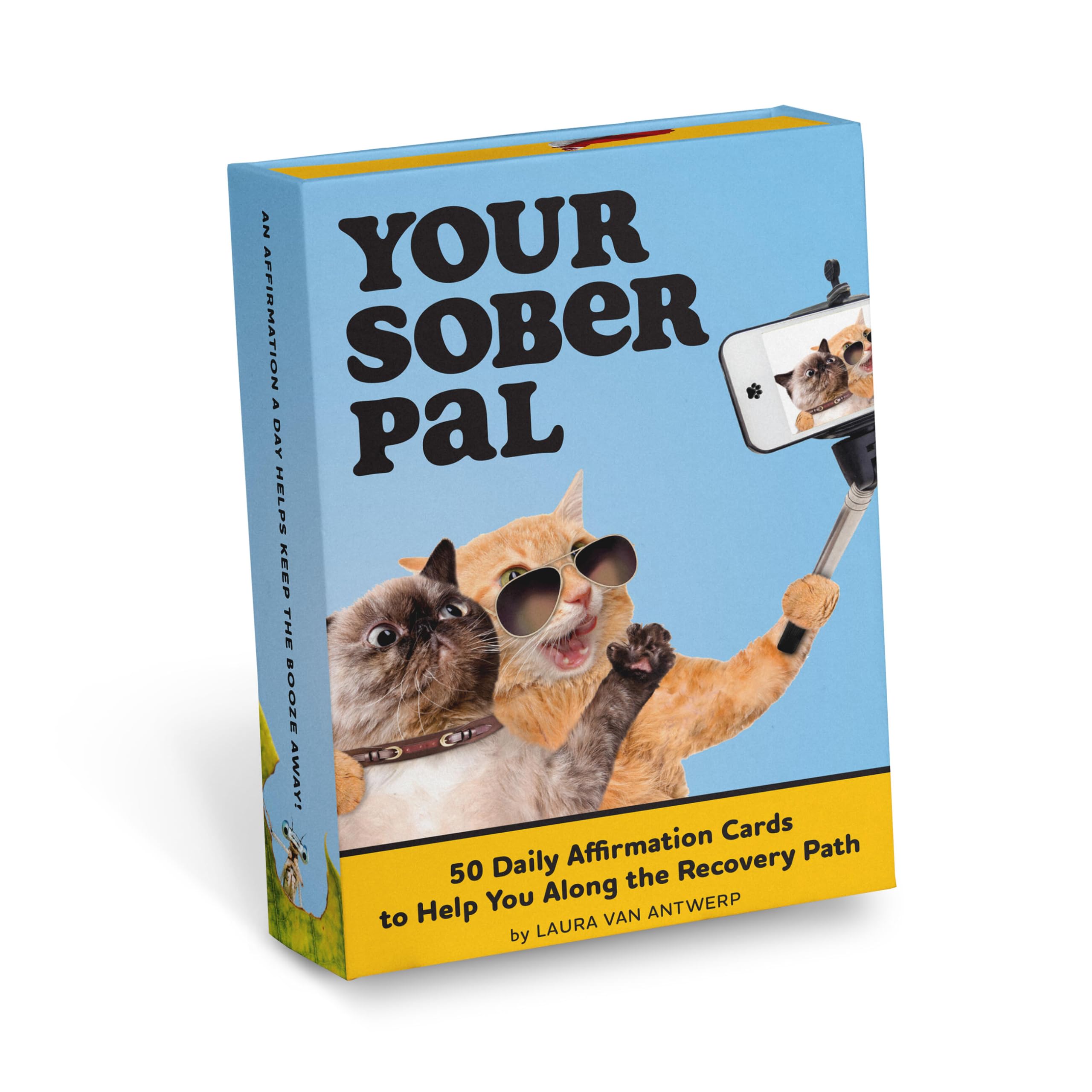 Knock Knock Your Sober Pal Affirmation Deck: 50 Daily Affirmation Cards to Help You Along the Recovery Path