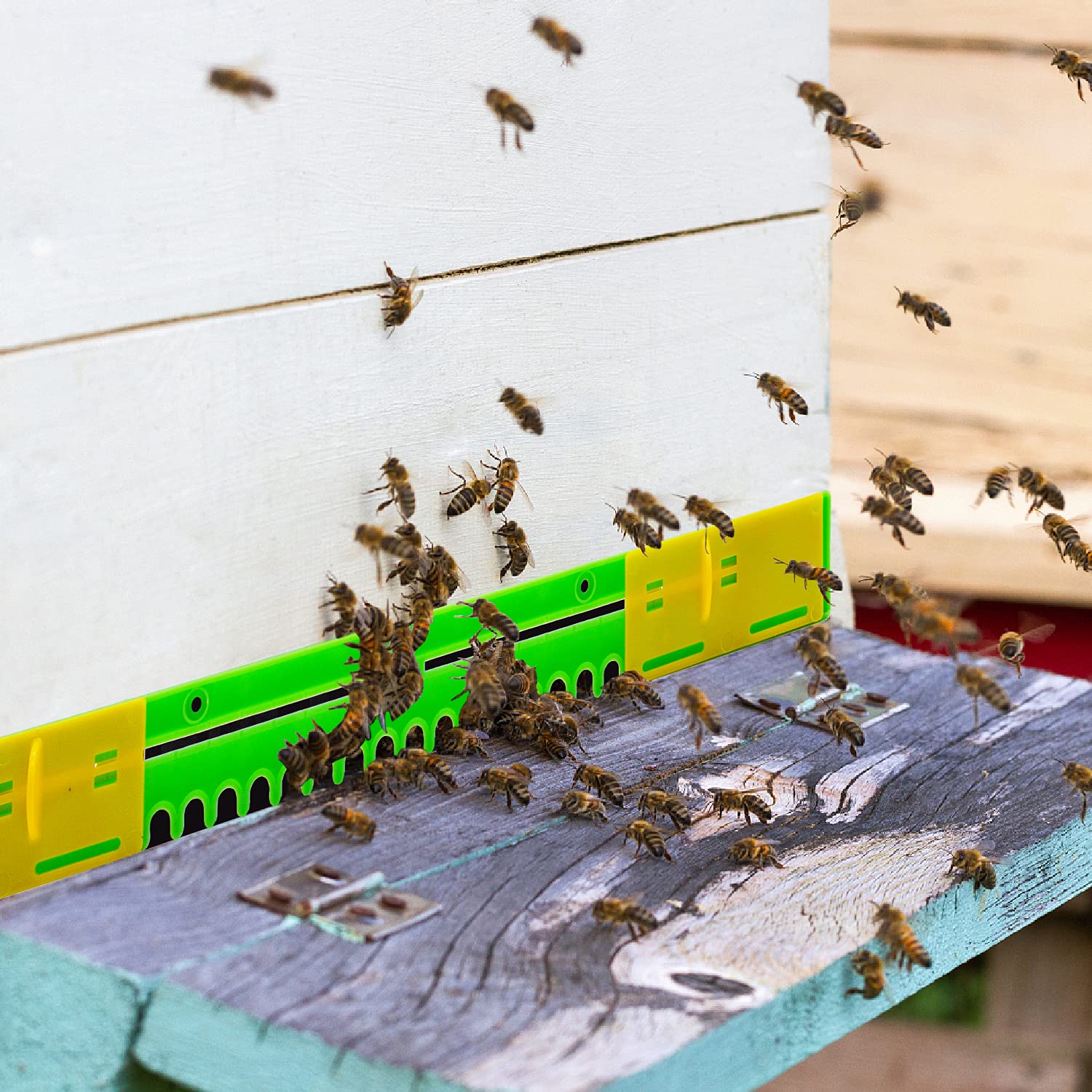 6'lı Paket Arı Kovanı Giriş Redüktörü, Arı Kovanı Plastik Redüktör Muhafızları Arıcılık Ekipmanları için Kovan Giriş Koruyucusu Arıcılık Aleti Arıcılık Malzemeleri, Uzunluk 41 cm : Amazon.com.tr: Bahçe