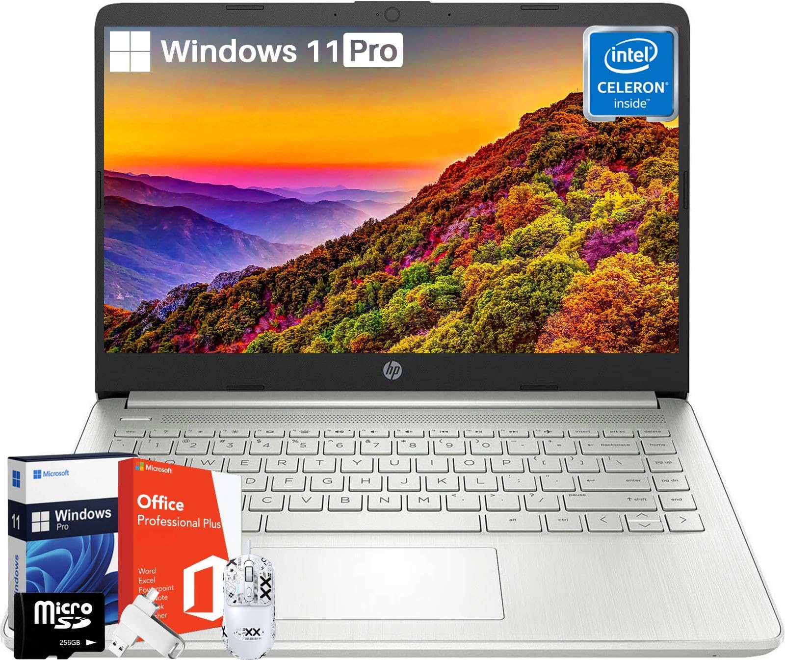 Amazon.com: HP 14 Inch Laptop Computer - Windows 11 Pro, Intel