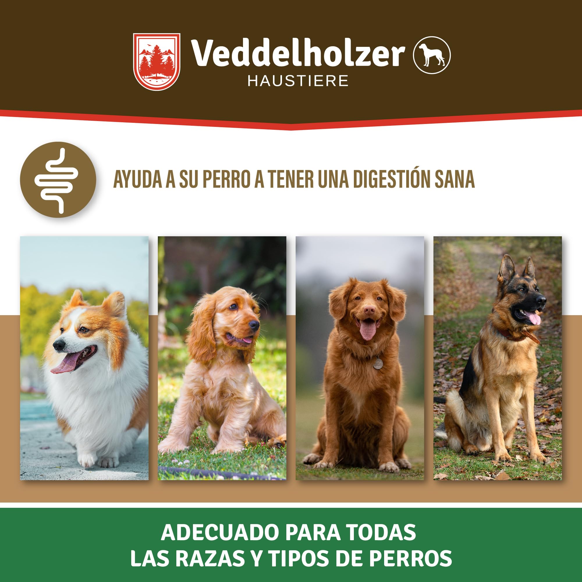 Veddelholzer Perro Trata probióticos digestivo Snack para Perros Accesorios para Construir la Flora intestinal del Perro Trata de como un complemento alimenticio con Ingredientes Naturales