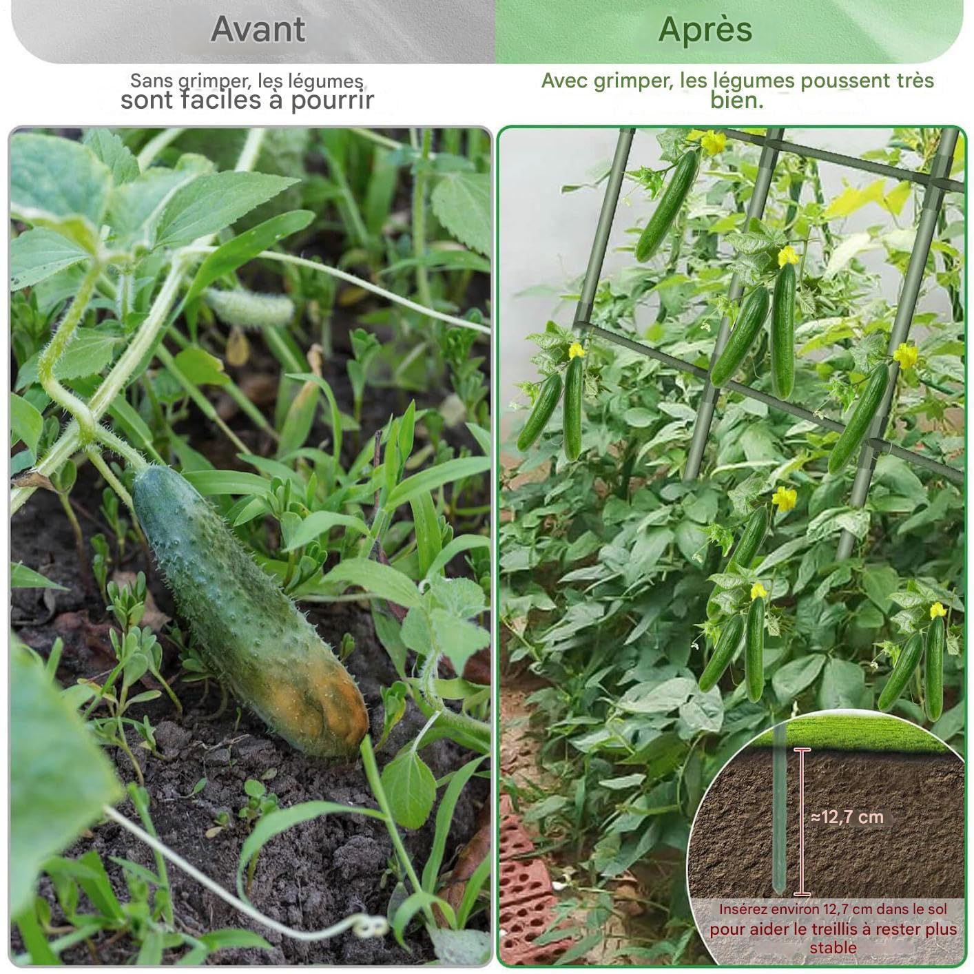 Tutor De Pepinos | Soporte Vegetal Para Plantas Escaladoras | Soporte Vegetal De Acero Robusto Para Cultivo De Calabaza Berenjena Y Guisantes