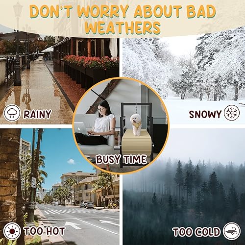 Miniatura 3 de PawPaw's Cinta de correr para perros pequeños, perros pequeños. Cinta de correr para perros saludable y en forma, caminadora para perros para