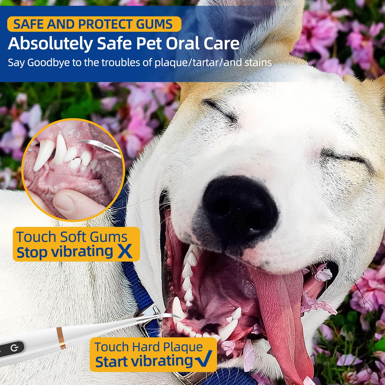 SLE Kit Pulizia Denti Cane per tartaro e Macchie, Adatto per Cani e Gatti, Spazzolino Cane per la Pulizia dei Denti, per Animali Domestici
