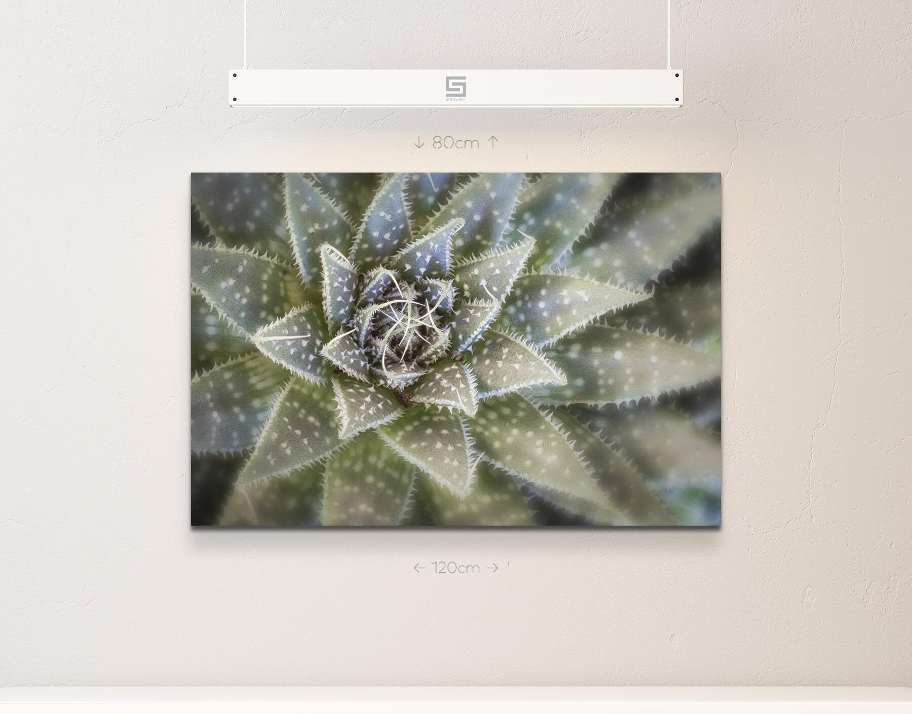 malen nach zahlen monstera Malen nach Zahlen Monstera Abstrakte Kunst – main image 0