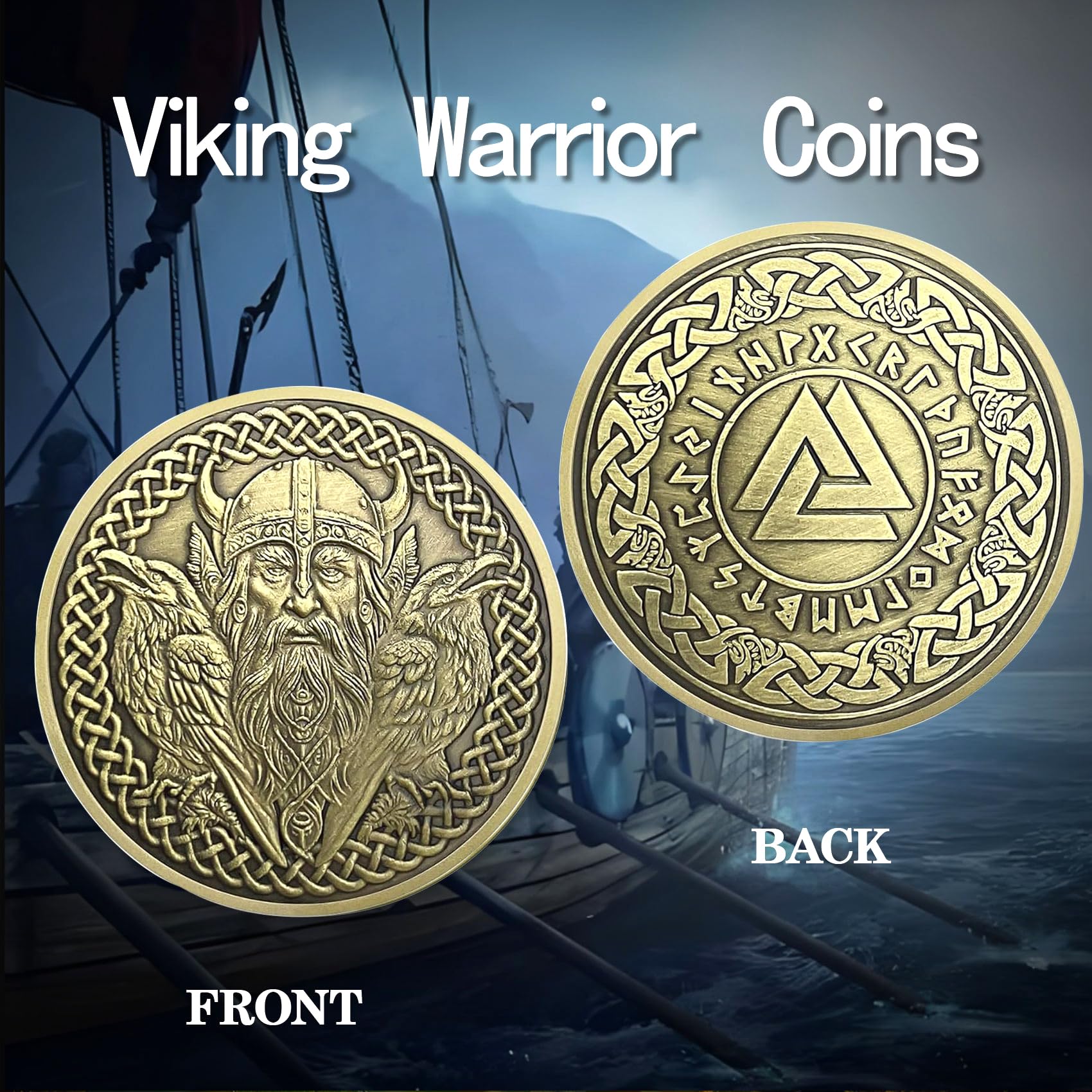 ACGZQY Viking Warrior coin - Image 2