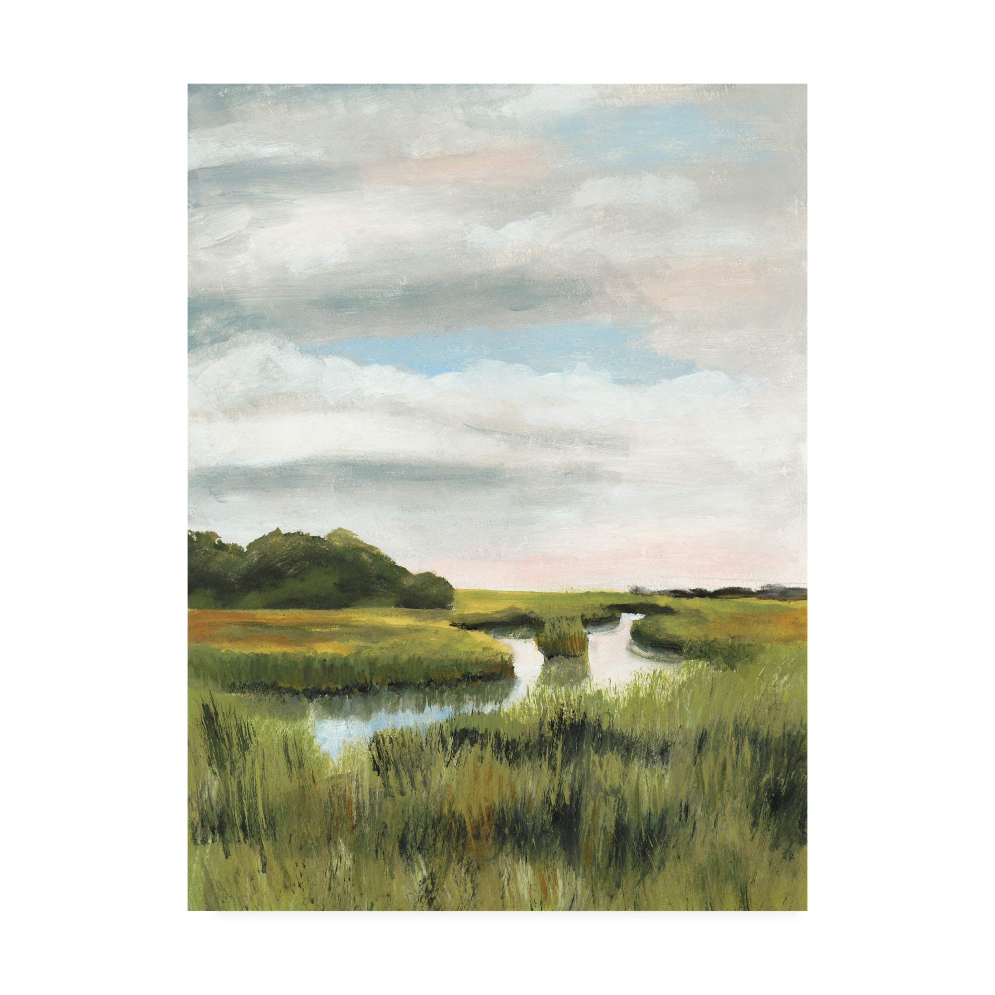 Trademark Fine Art, 24x32 Marsh Landscapes I by Naomi McCavitt