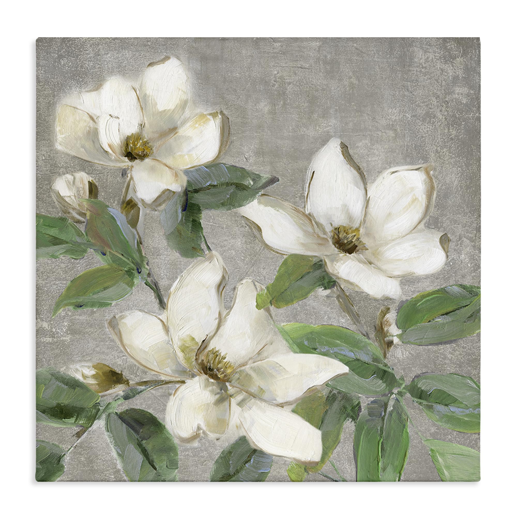Stupell Industries Ivory Magnolia Botanical Serenity 'Ivory Magnolias On Grey', Canvas Art, 24 X 24 Inches, Easy To Hang And Sturdy, Made In Usa, By Sally Swatland