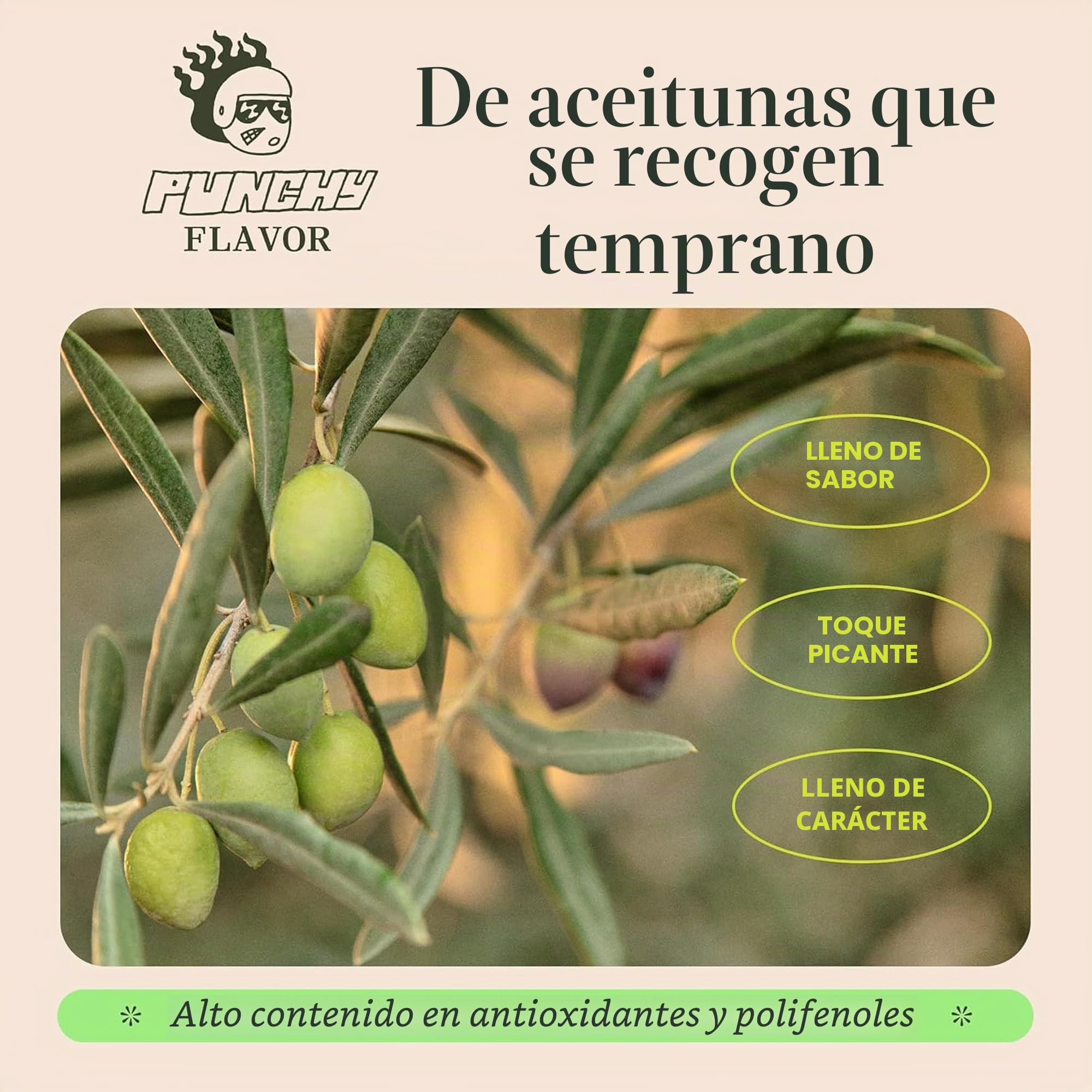 Graza Aceite de oliva virgen extra, 16.9 onzas líquidas