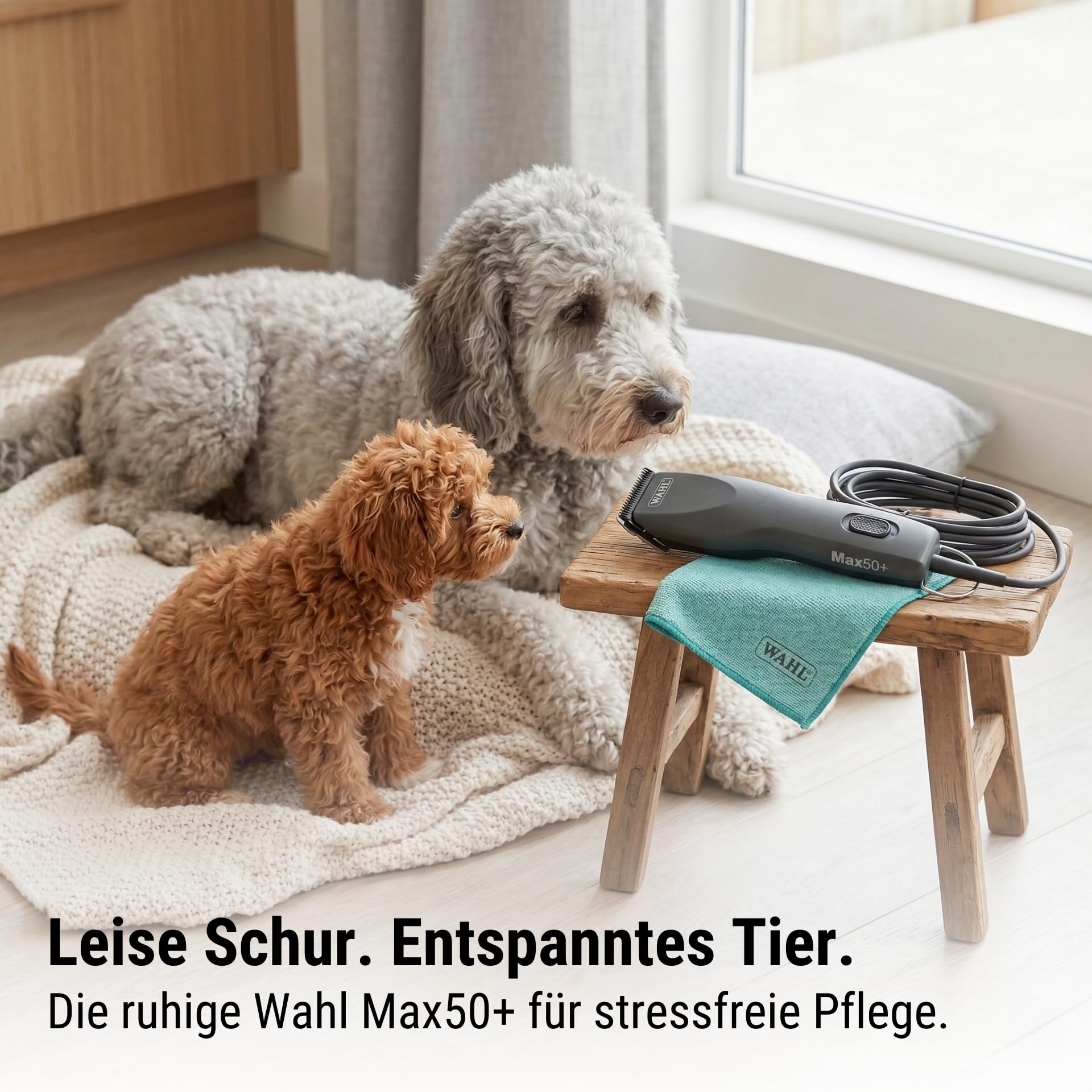Agrarzone Wahl Max 50+ Hundeschermaschine Schermaschine Hund Moser Schur | Aufsteckkamm-Set, verfilztes Fell, Langhaar, leise, 2 Leistungsstufen