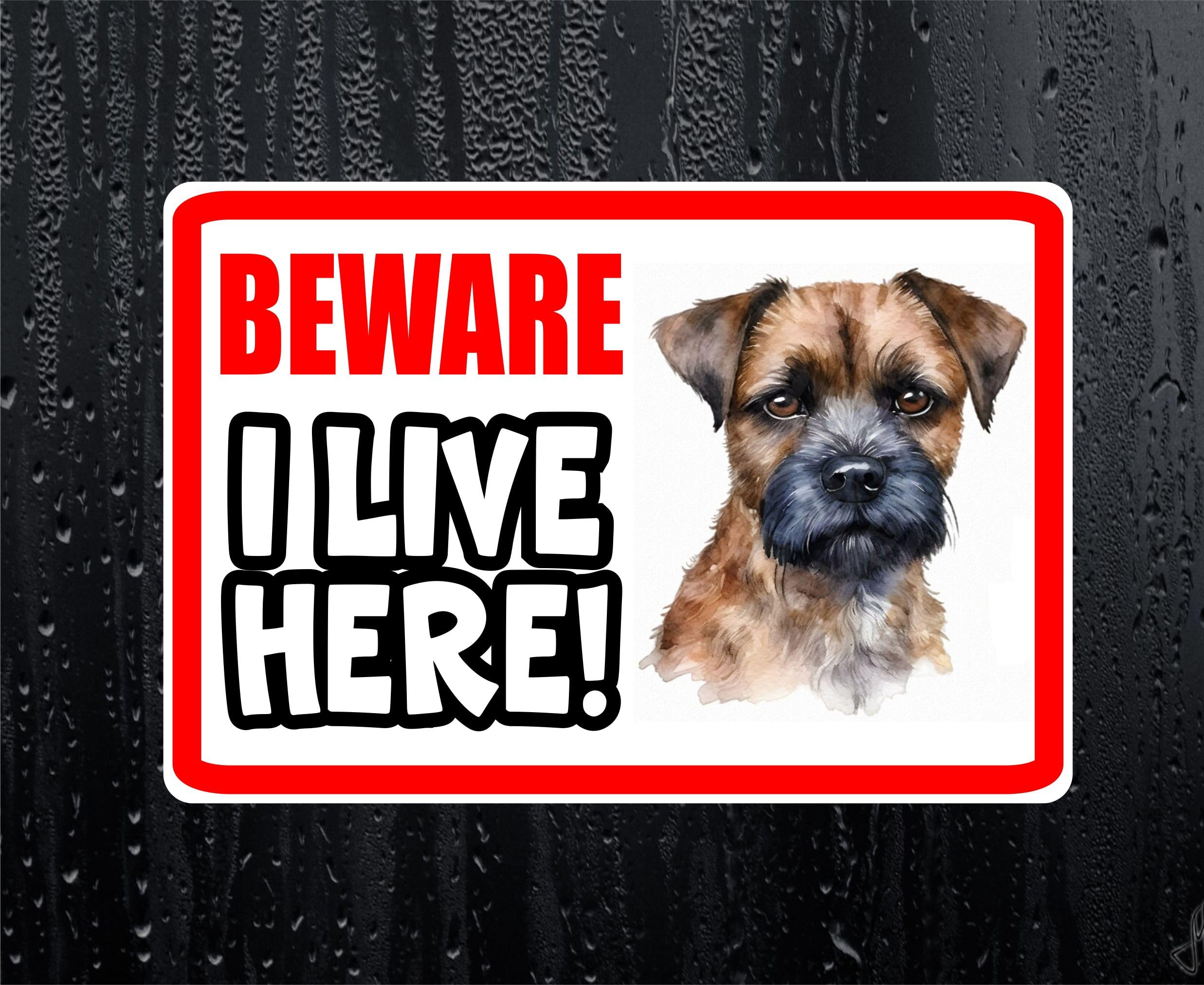 Decalarama Border Terrier Sticker - Beware I Live Here - Cute House Home Window Door Porch Dog Warning Decal