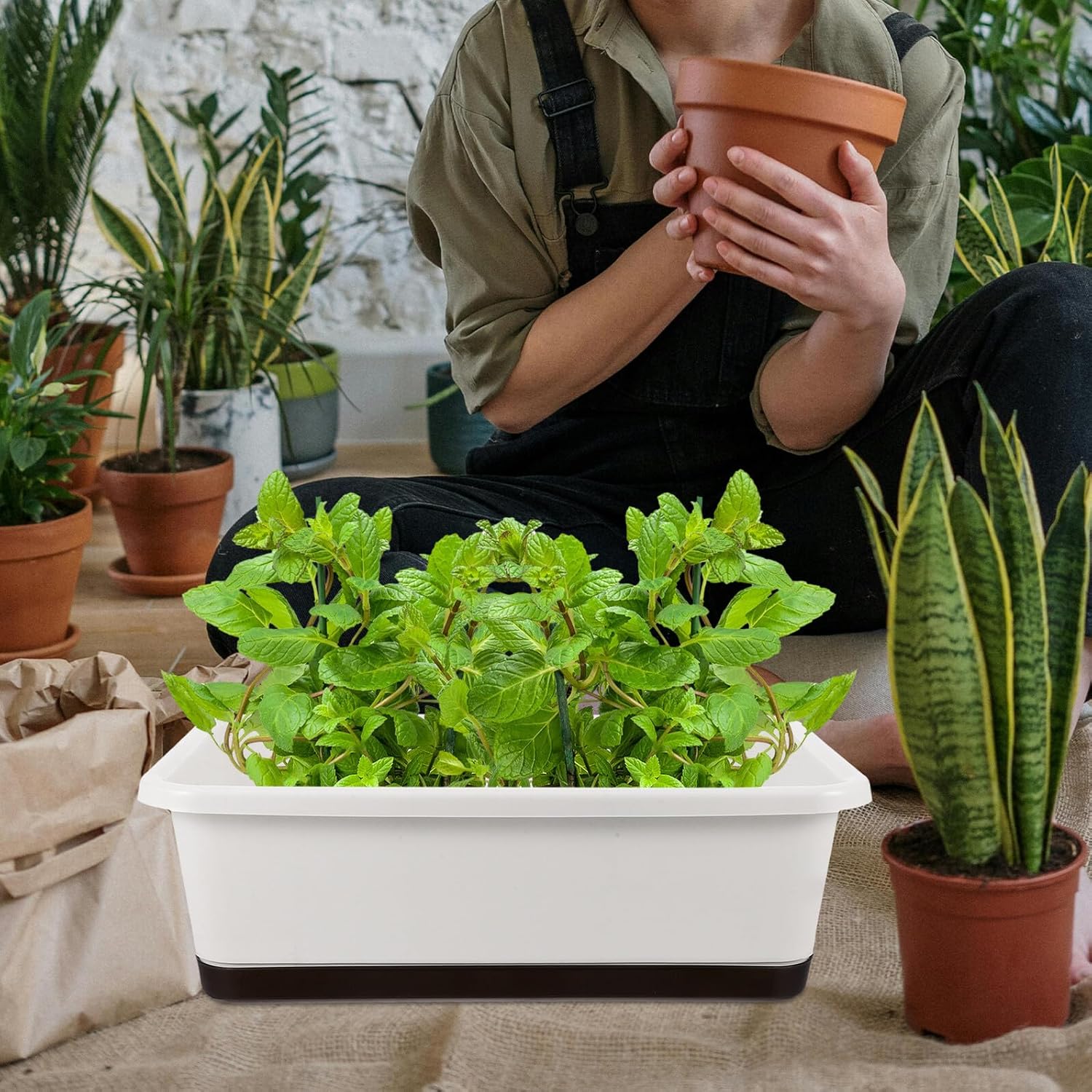 2pcs Rectangular Window Planter Box with Tray for Succulent and Herb Plants, White Low-Profile Garden Flower Pot Suitable for Indoor and Outdoor Balcony Planting