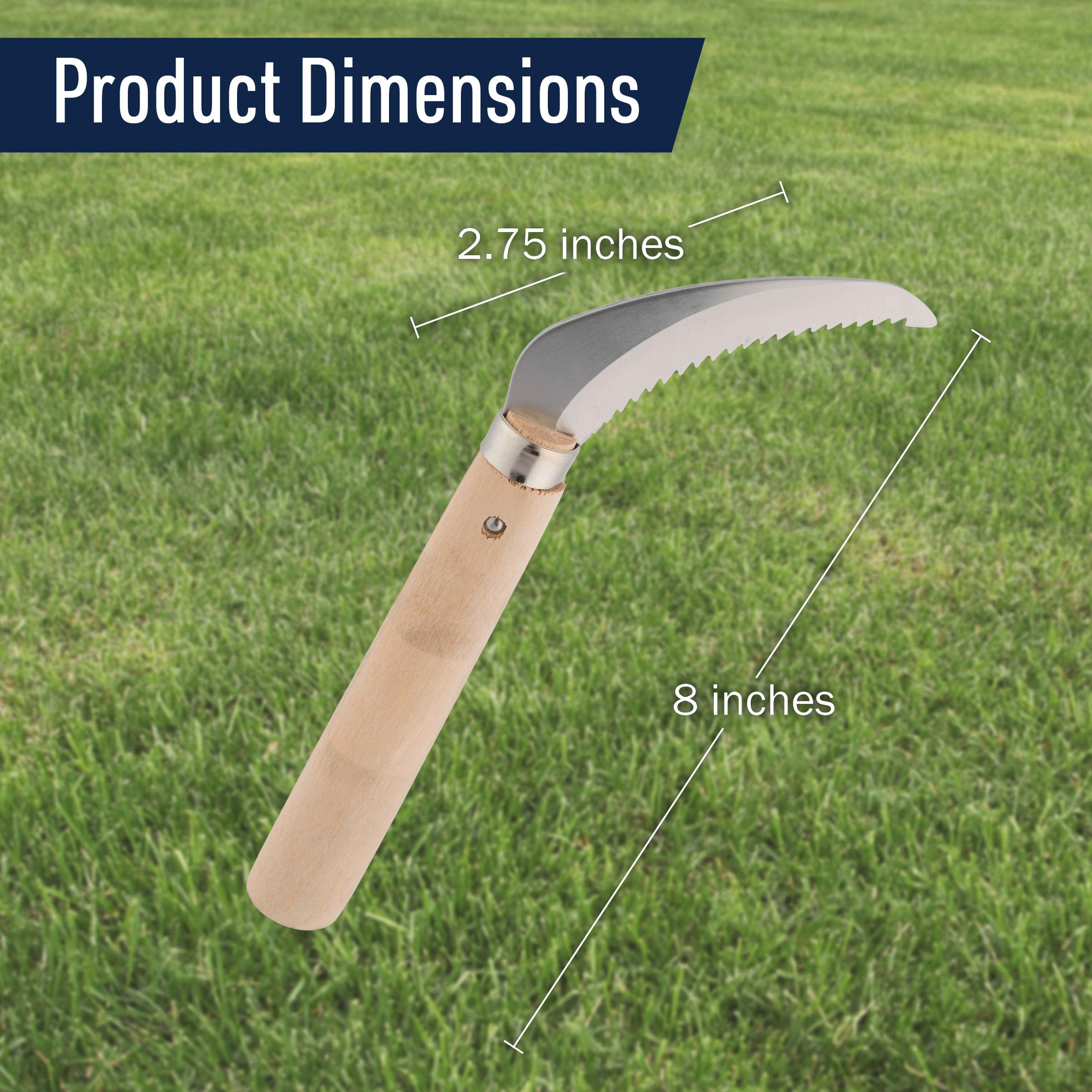 Amazon.com : Japanese Saw Hand Saw - 8” Root Cutter with Sharp