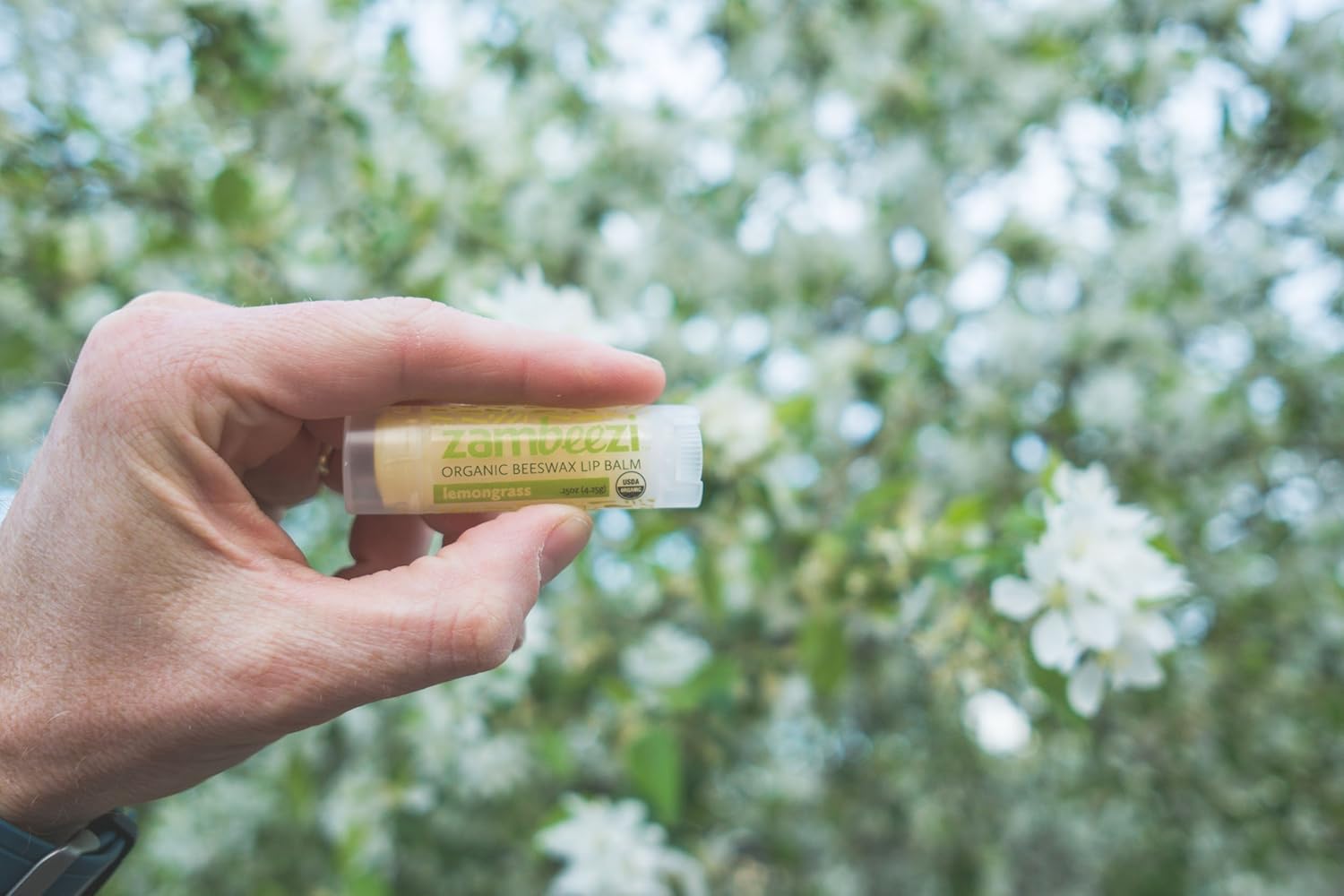 Case of Beeswax Lip Balm by ZAMBEEZI - Lemongrass 24-Tube Carton - Crafted with USDA Organic, Fair Trade, Lip Refreshing Ingredients from Zambia, Africa
