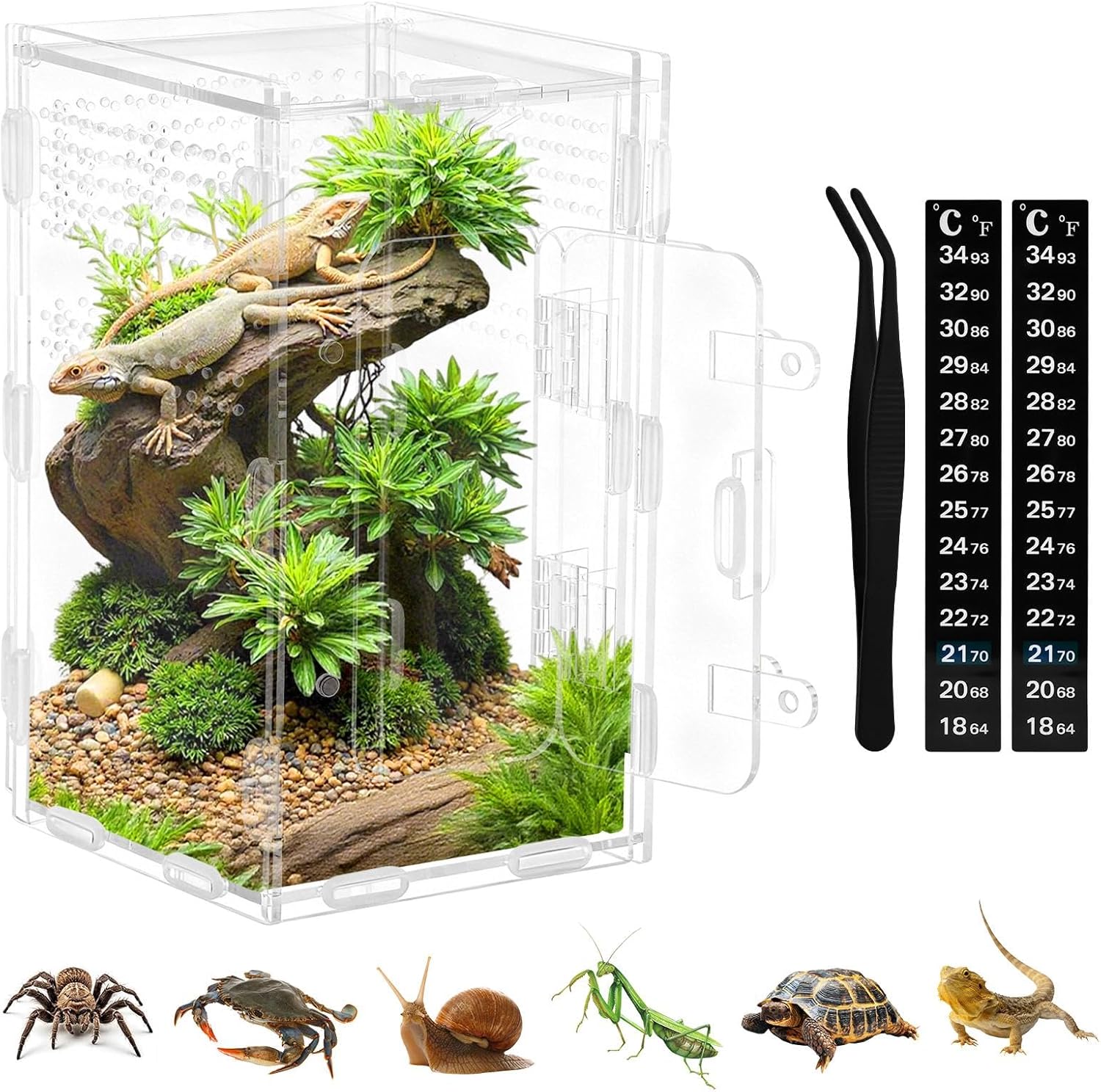 Jumping Spider Enclosure Kit with Thermometer & Tweezers,for Spiderling | Large Jumping Spider Enclosure 7.87"×4.7"×4.7" with Magnetic Door ,Ventilated Acrylic Pet Habitat for Spiderling