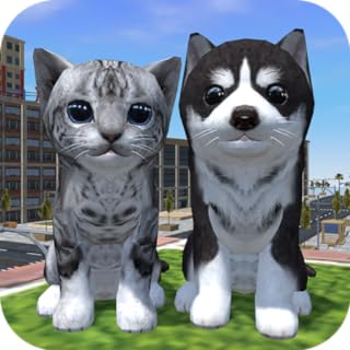 Cute Cat And Puppy World