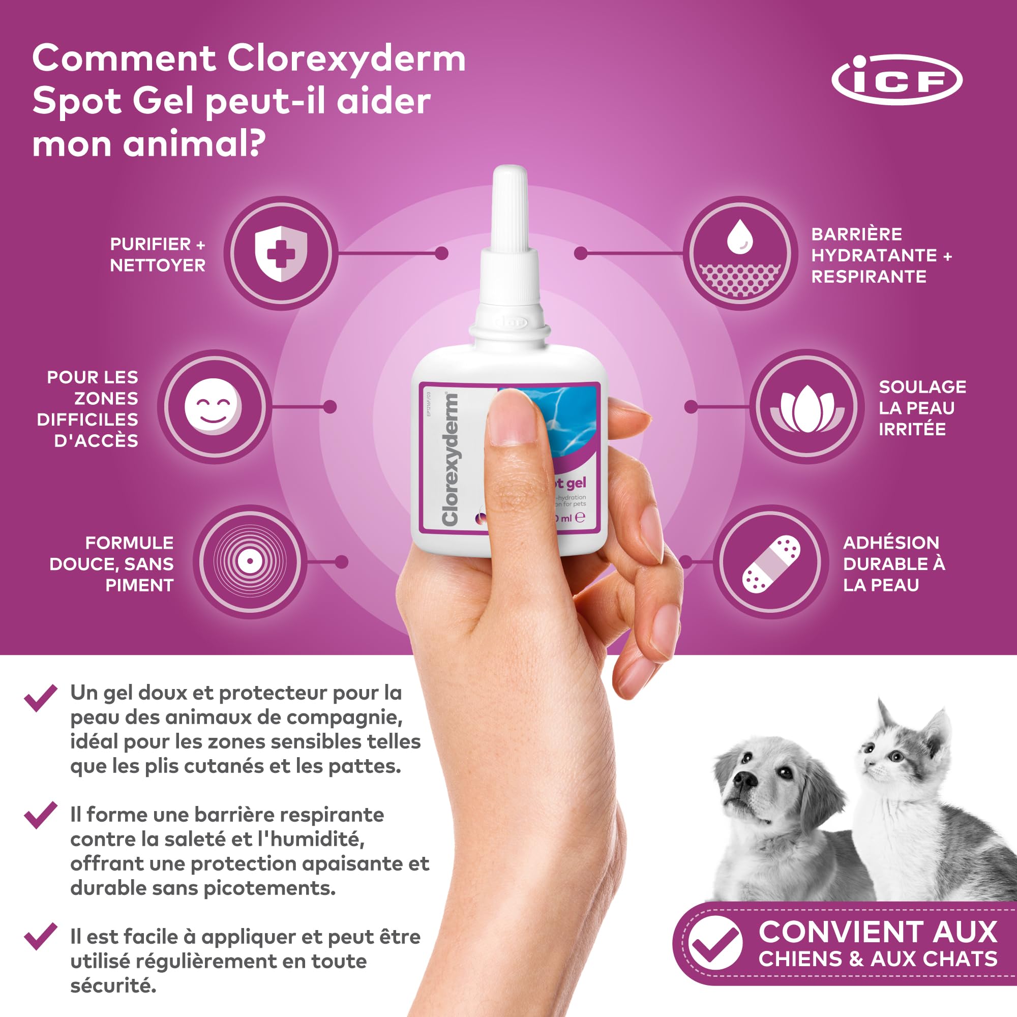 ICF Clorexyderm Spot Gel | Gel Assainissant, Hydratant et Protecteur pour Chien et Chat | Soin Indiqué pour Application Locale : Peau et Oreille | Produit 100ml