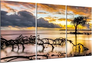 Mangrove 3 Piece Canvas Wall Art. Tropical Ocean Original Photography Print.