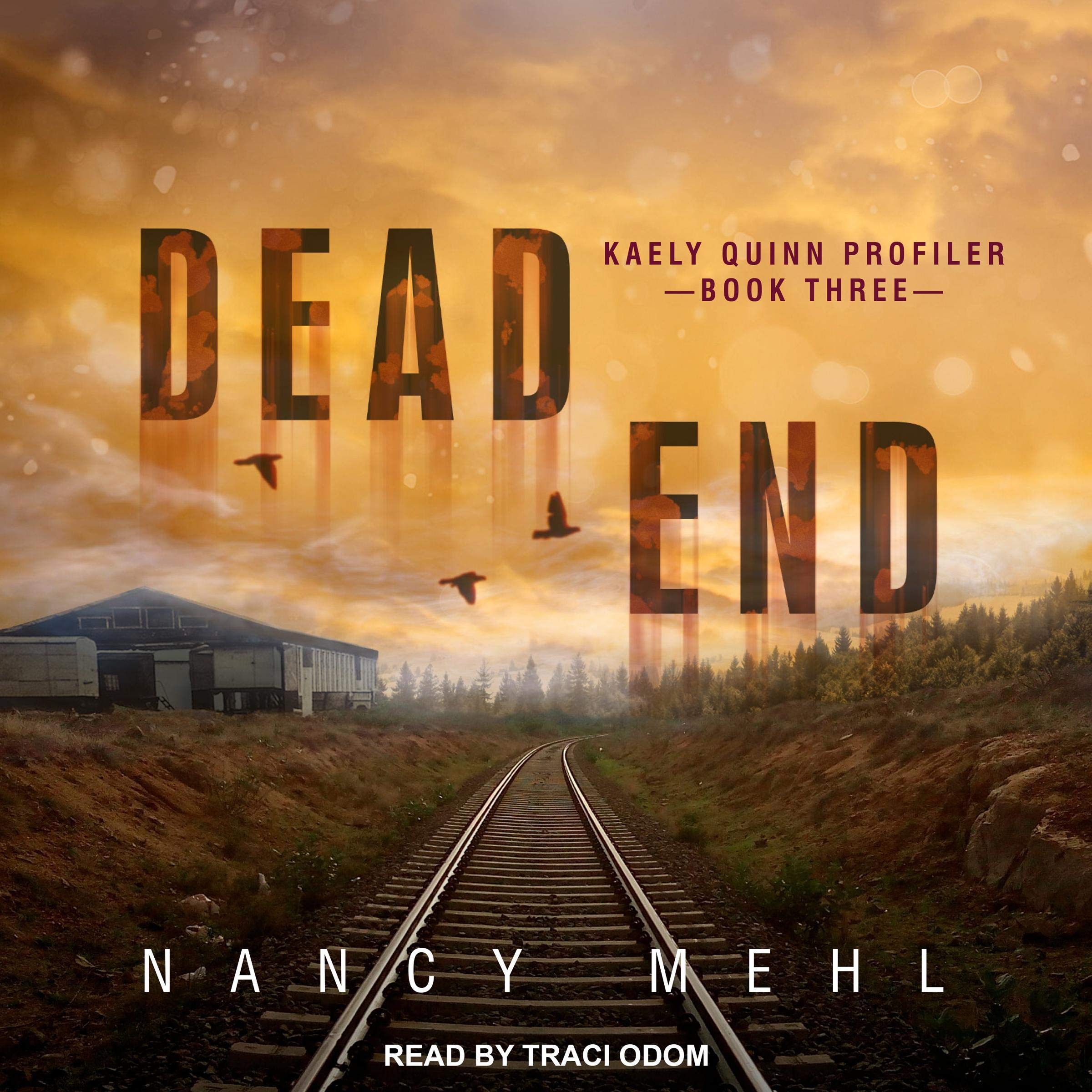 Cover art for Dead End: Kaely Quinn Profiler Series 3