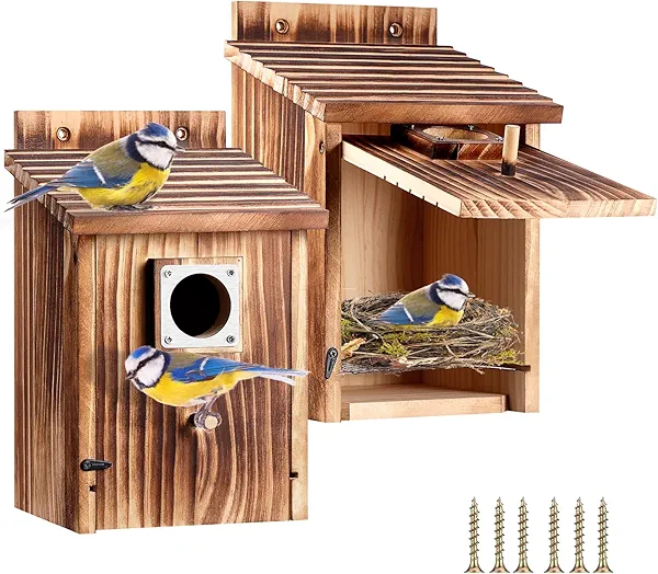 2PCS Bird Houses for Outside, Bluebird Houses with Metal Predator Guard Wooden Nesting Boxes for Outdoor Yard Garden, Hanging Birdhouse for Blue Bird,Sparrow,Chickadee