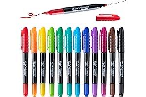 Mr. Pen Dual Tip Permanent Markers: Precision and Permanence