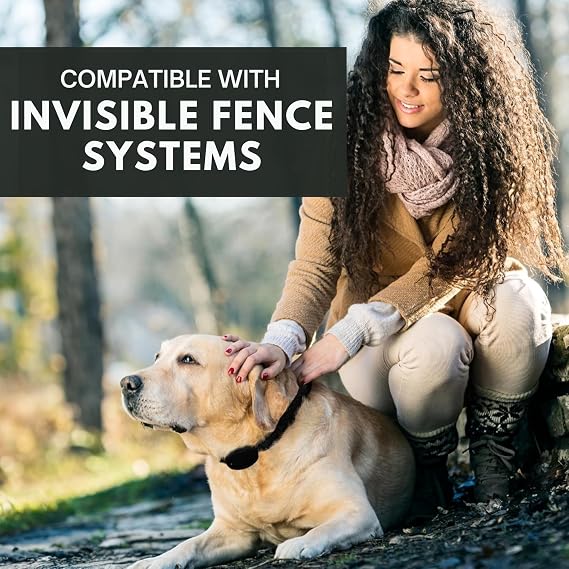 3/4 Nylon E Collar Replacement Strap - In Ground Fence Collar, Compatible with Pet Safe & Invisible Fence (Small, Black Flower)