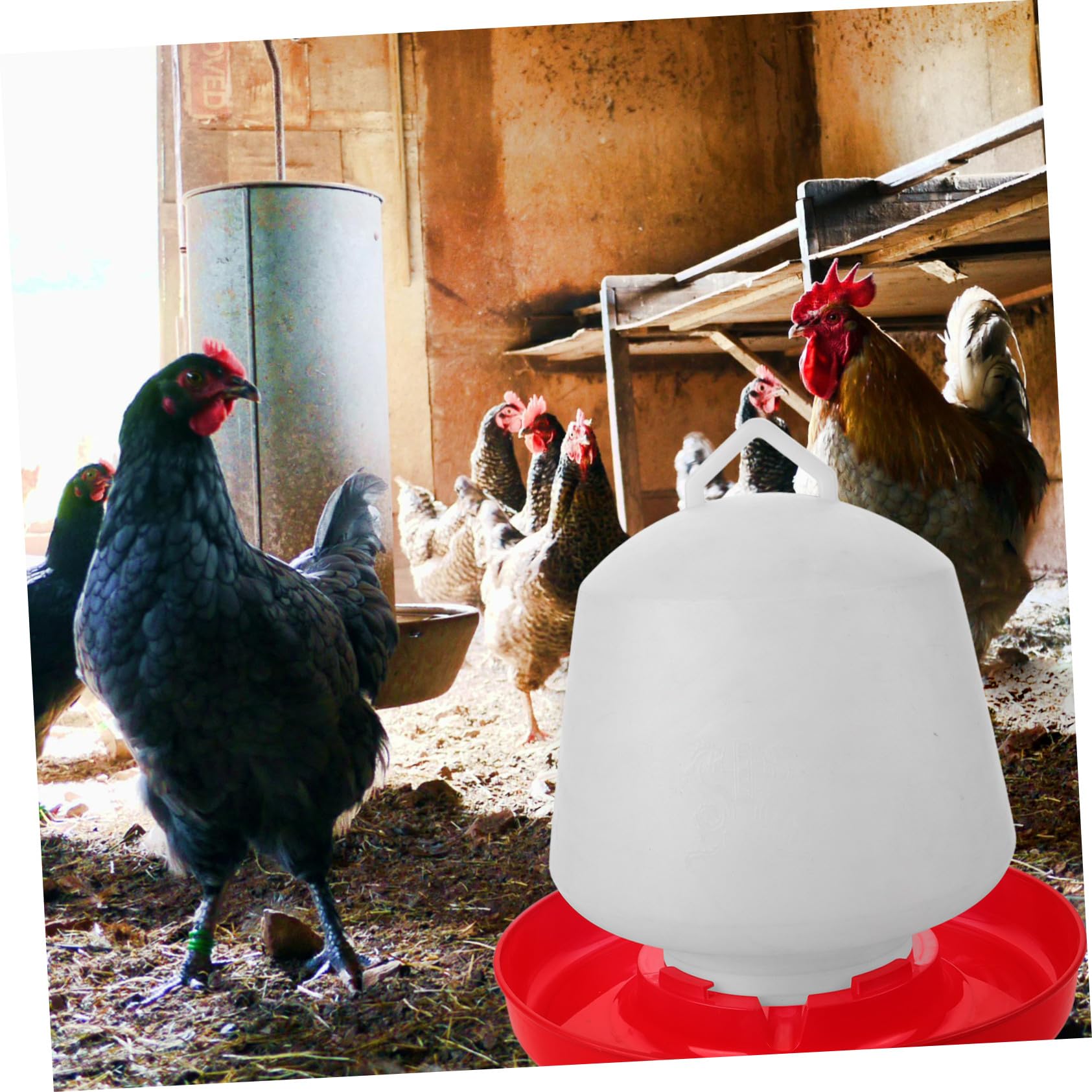 Mangiatoia per Galline Resistente alla Pressione e Protezione Solare in Plastica Bianca Design Creativo Forme a Vasca Adatta per Uso Esterno