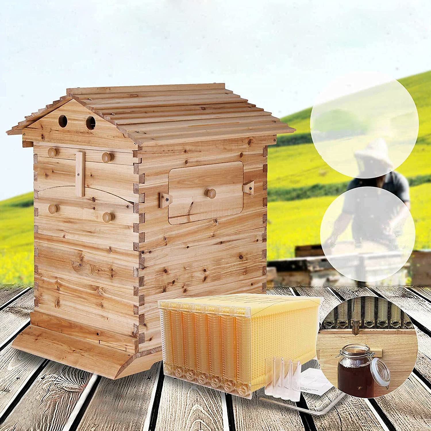 Buy hjjh Hive Beehive Kit Auto Wooden Bee Hive House Kit Beehive Boxes with 7 Pcs Comb