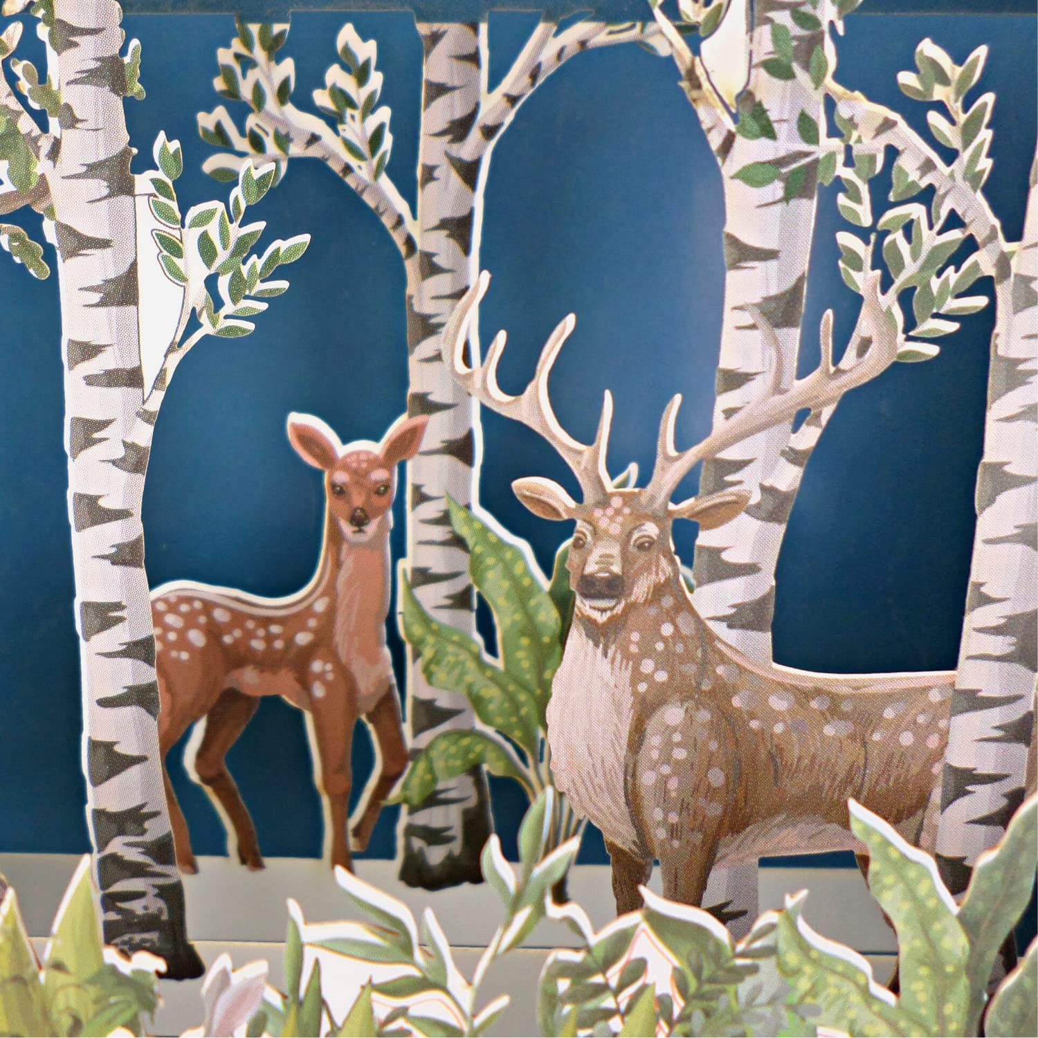 Message In A Bottle Forest Animals Pop Up Any Occasion Greeting Card Alljoy Card, Blue, 24cm x 12cm - Image 2