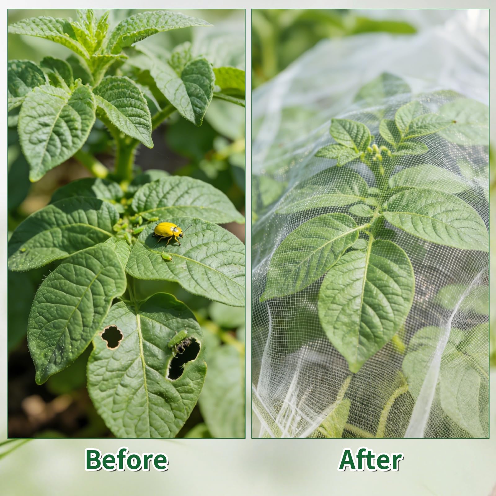 Filet Anti-Insectes 1.2 x 3m Maille Fine Protection Plantes Potager