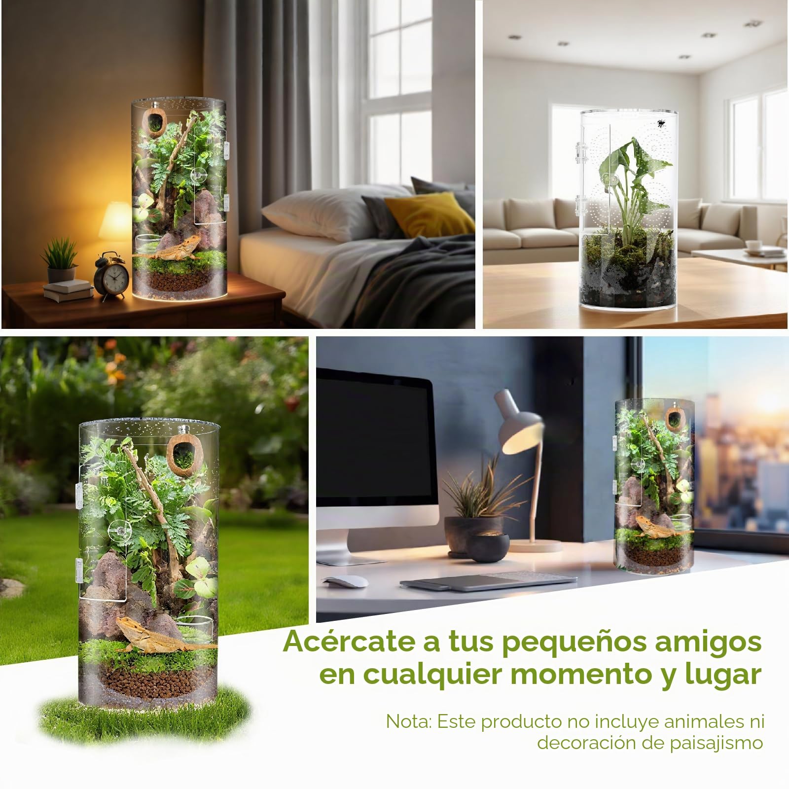 Terrario Cilíndrico, 360° Terrario Reptiles Transparente - Vivarium Insectos Acrílico, Caja de Cría para Araña Saltadora, Gecko, Lagarto Dragón Barbudo, Caracol, Insectos Palo, Rana Arbórea