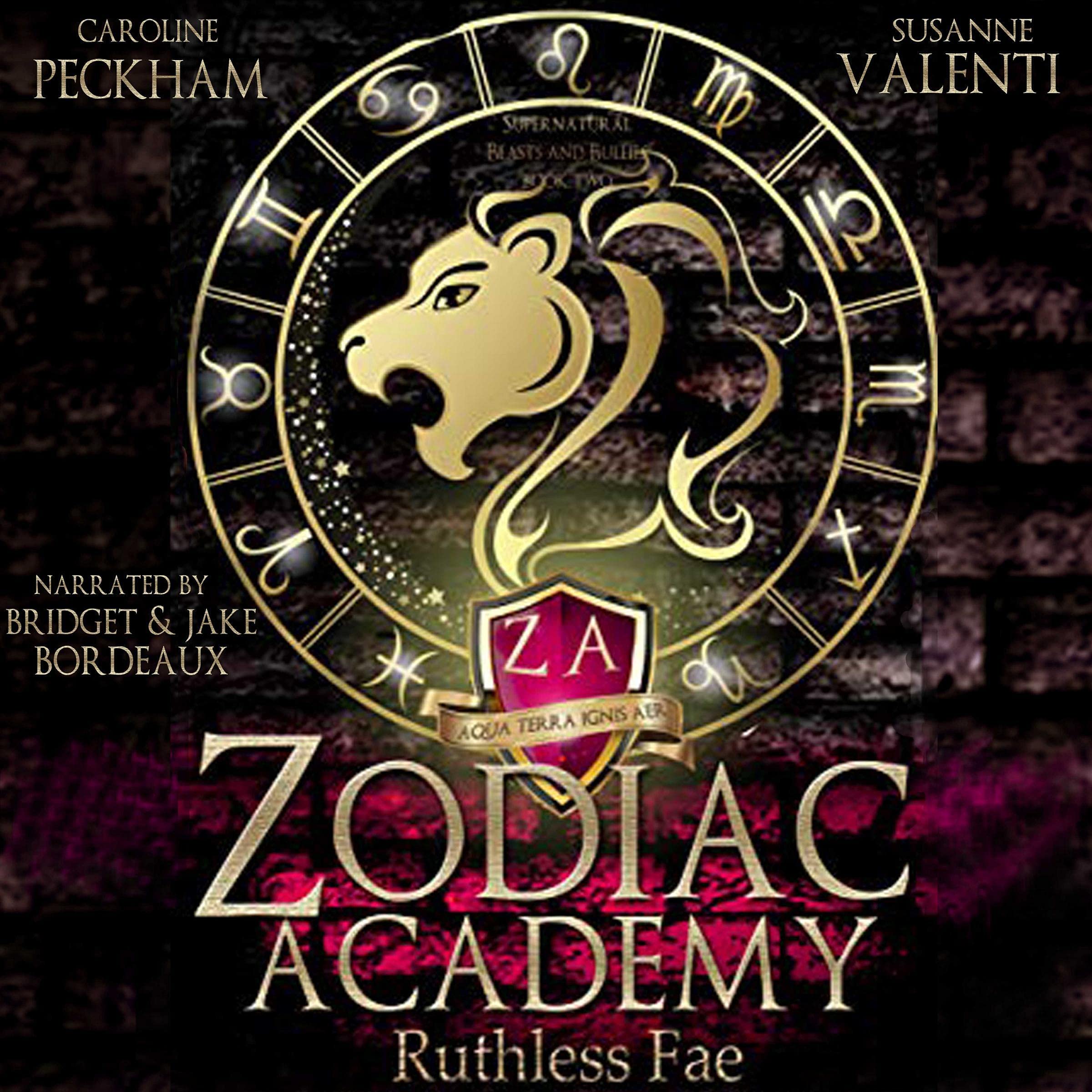 Cover art for Zodiac Academy 2