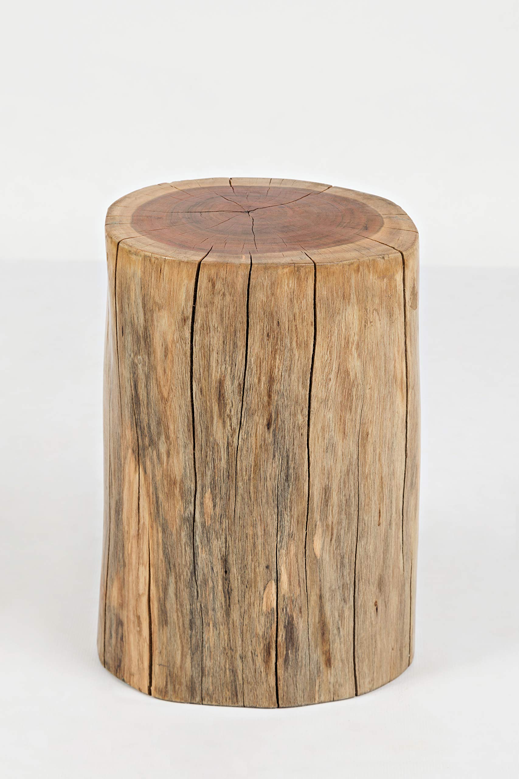 BenjaraBenzara Wooden Stump Accent Table, Brown,