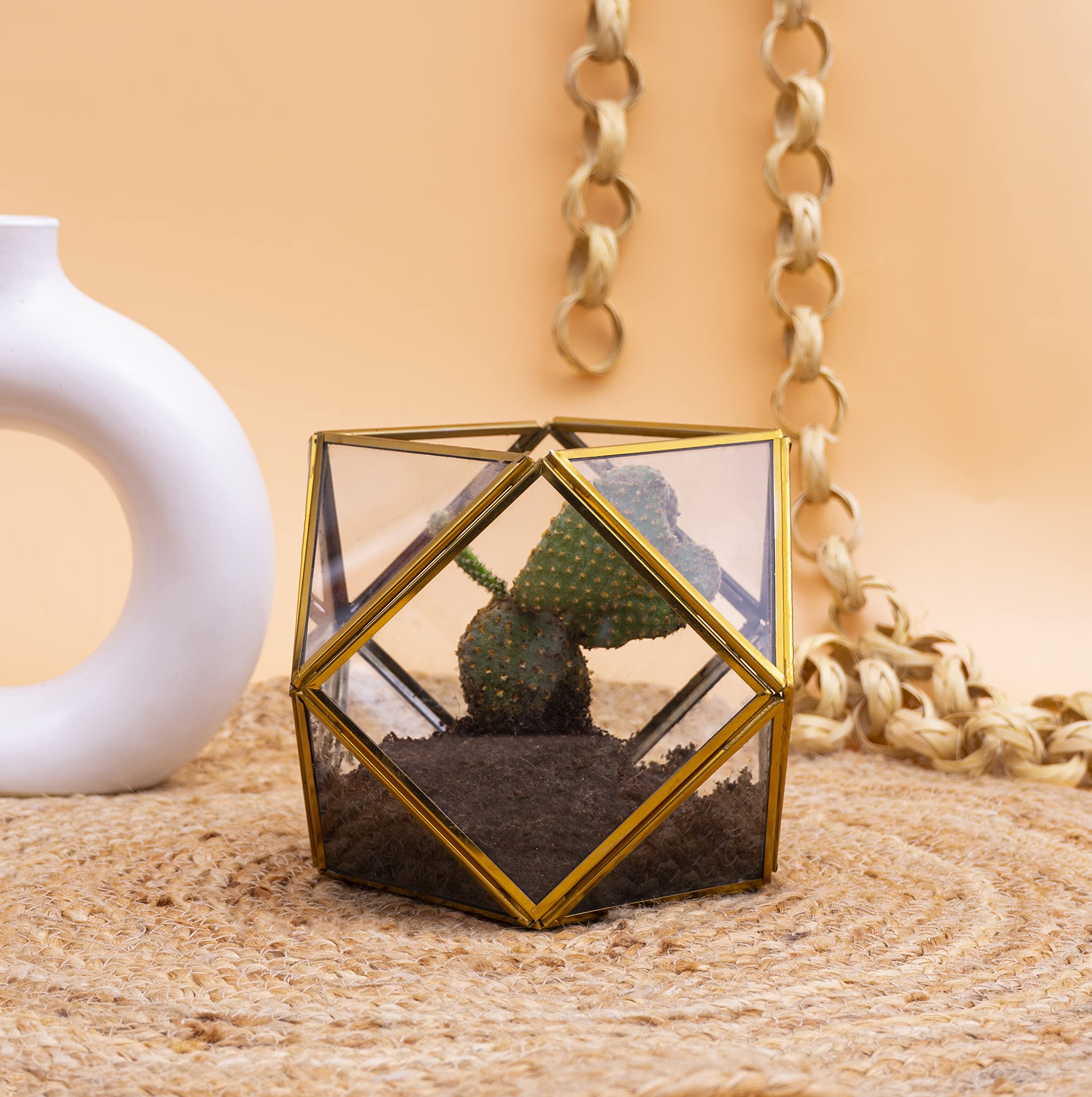 See full amazon price history chart for Kyari Charming Glass Terrarium Pot, Pentagonal Square Shape, Geometric Pot for Succulents, Cacti & Indoor Plants, Home & Office Decor, Plants Not Included, Size: 10.5 * 10.5 * 14cm Kyari Charming Glass Terrarium Pot, Pentagonal Square Shape, Geometric Pot for Succulents, Cacti & Indoor Plants, Home & Office Decor, Plants Not Included, Size: 10.5 * 10.5 * 14cm (B0BMM7NYVL) Amazon Price History, Amazon Price Tracker