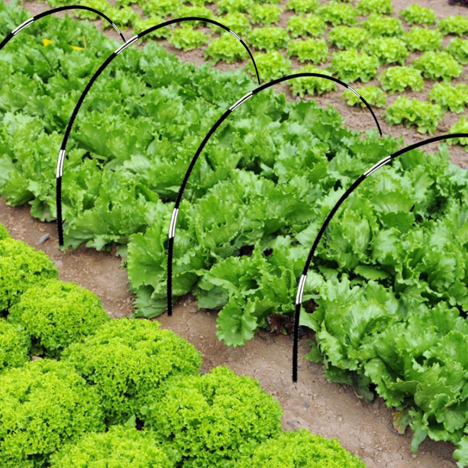 Shengruili 30 pièces Arcs de tunnel de plantation, 3X10M filet anti-insectes, tunnel en film pour jardin surélevé, filet pour légumes de jardin, filet de protection des plantes, filet pour plantes et
