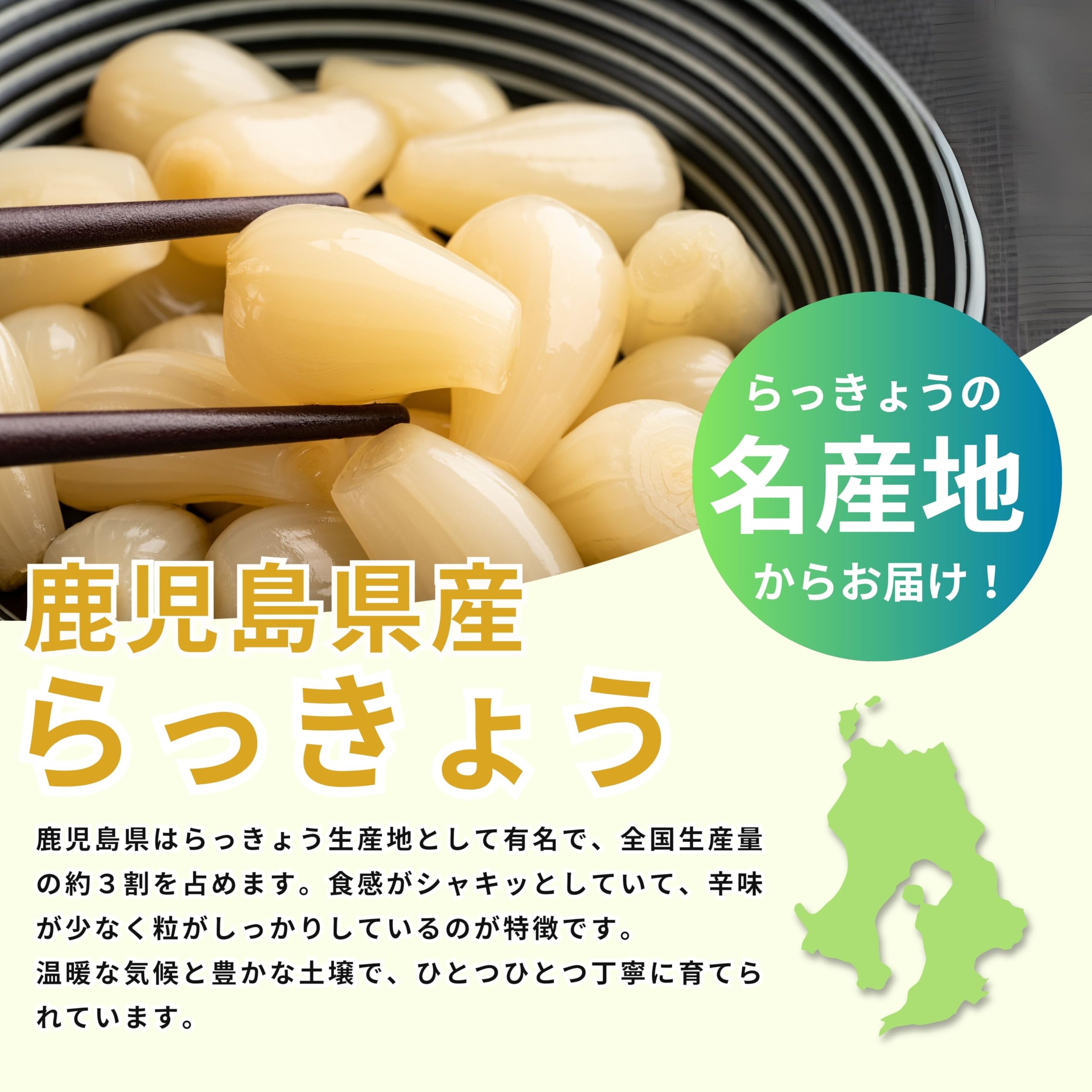 Amazon.co.jp: 【5月初旬～獲れたてを発送】〈鹿児島県産〉新鮮 生