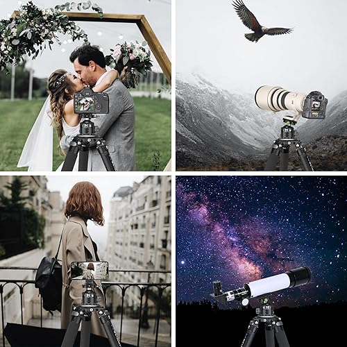 Miniatura 24 de WEYLLAN CH55 - Cabezal de bola de perfil bajo de 2.165 in, cabeza de bola panorámica, cabezal de cámara de trípode de metal CNC para trípodes