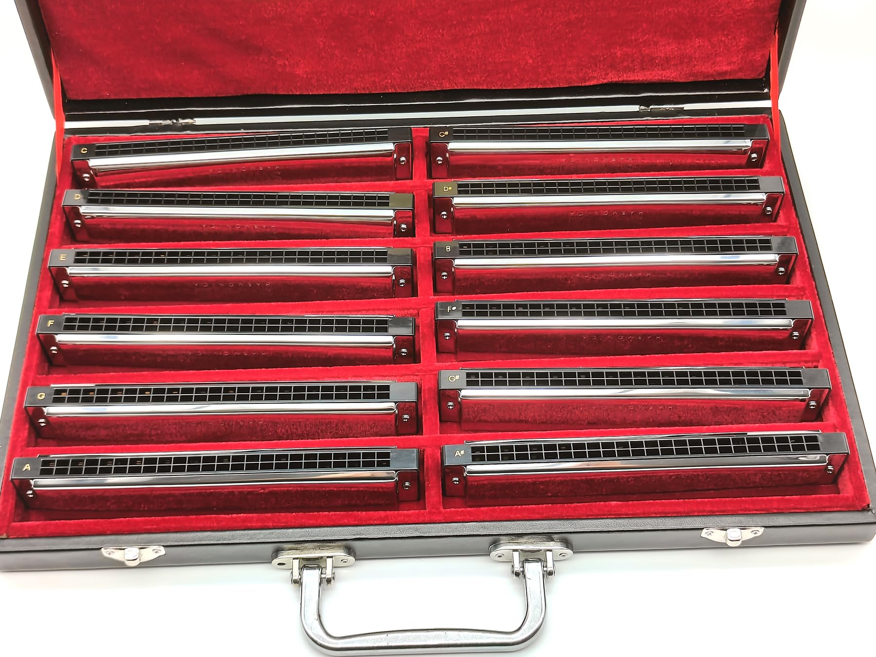 Swan Harmonijka Ustna 24 Otwory, Polifoniczna C Key A/B/D/E/F/G/A #/C #/D #/F #/G # Profesjonalna Tremolo dla Początkujących, Dzieci i Dorosłych