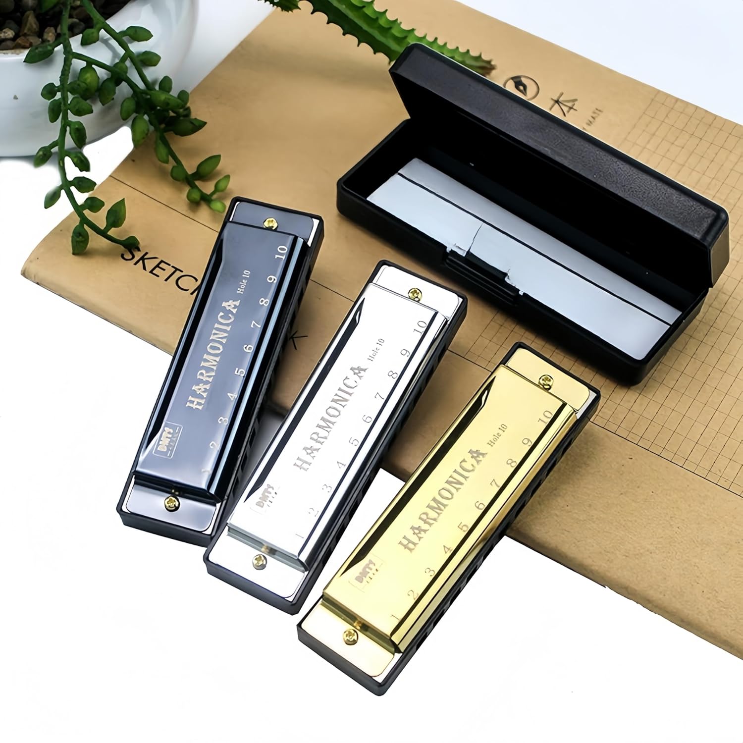 Gaita de 10 furos com estojo, instrumento musical de órgão de boca em C Key Blues para iniciantes tocando gaita como presente (preto)