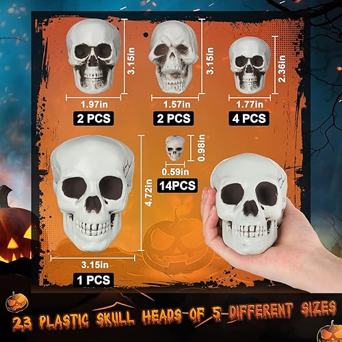 Miniatura 2 de Leyndo 23 piezas de cabeza de esqueleto de Halloween, 5 tamaños, mini accesorios de calavera de plástico de aspecto realista, esqueleto humano con